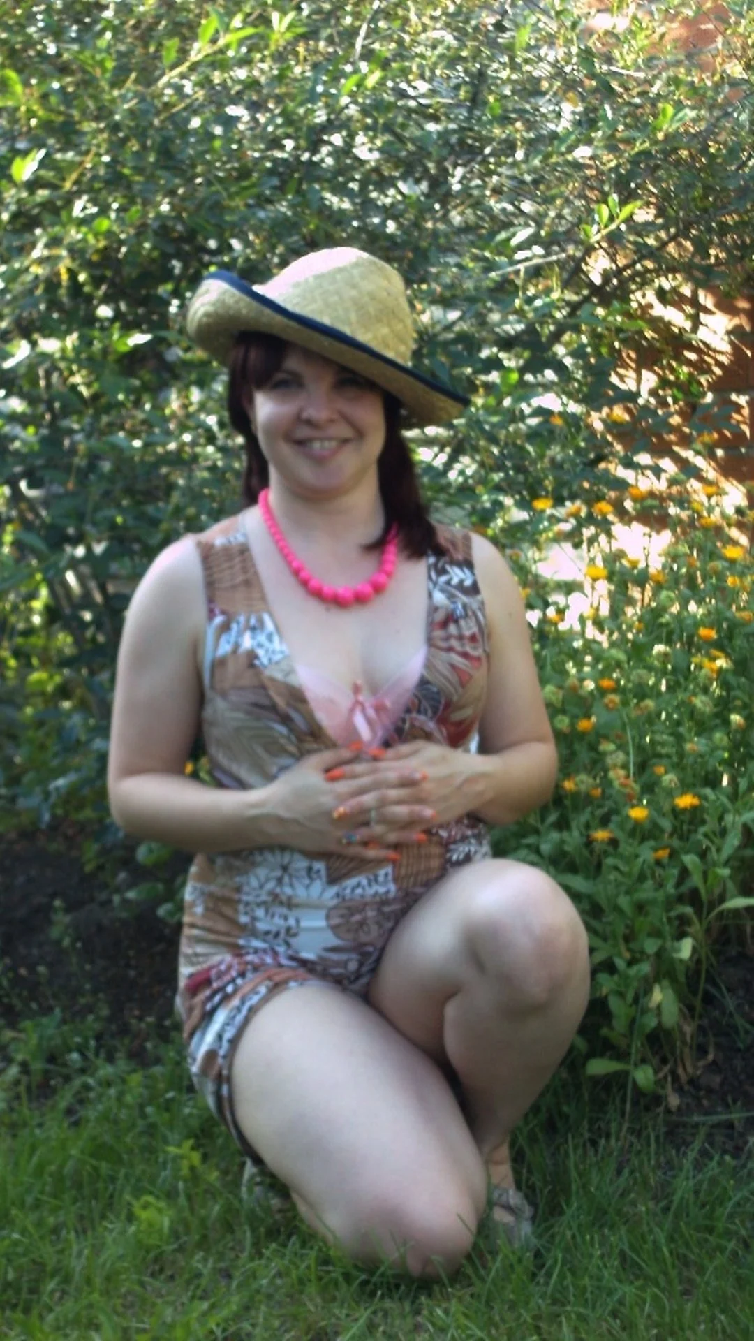Aphelandra