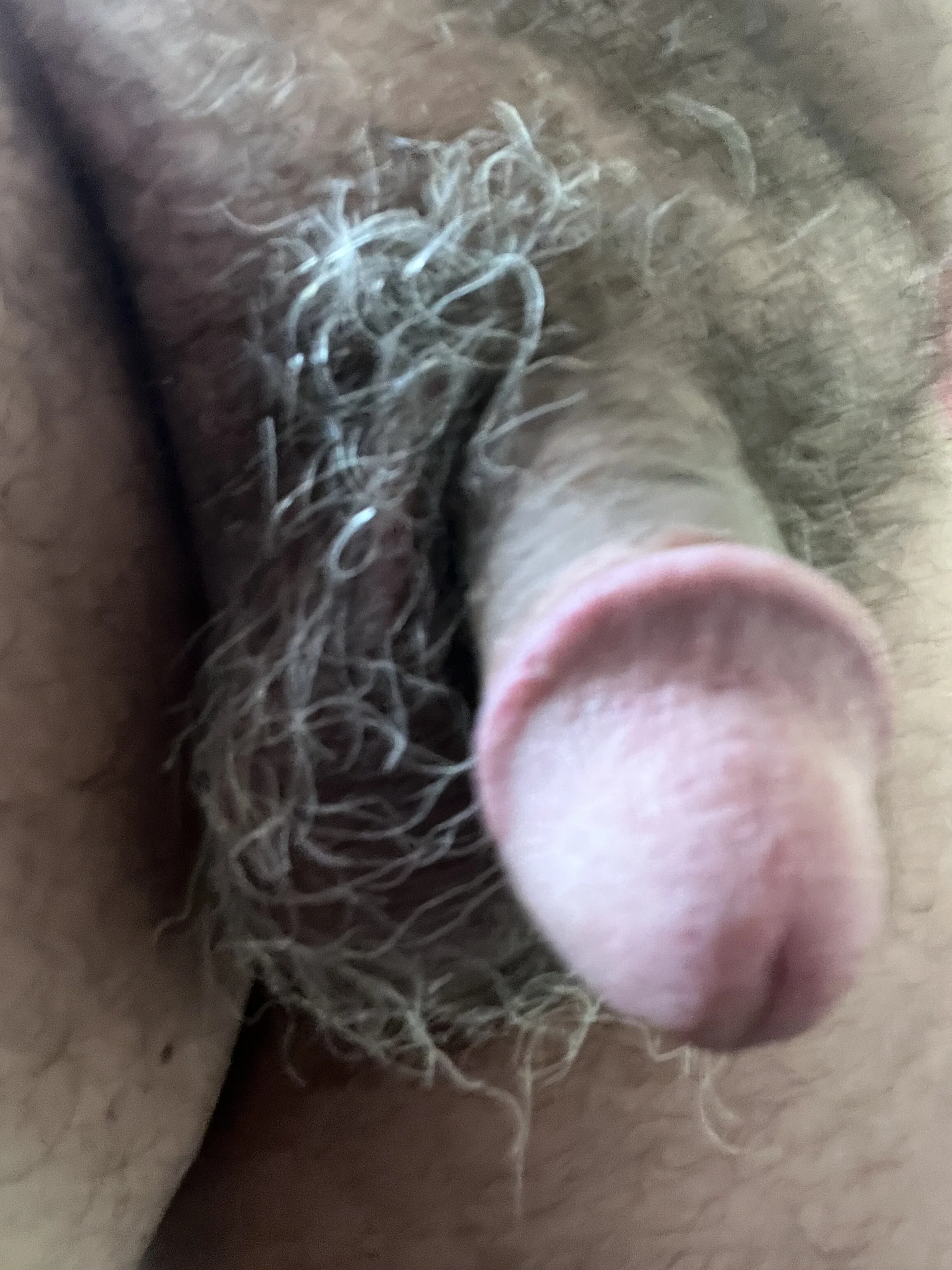 XXX Porn Photo of Nude Gilbert2014 76