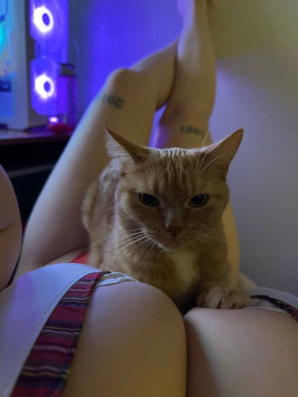 XXX Porn Photo of Nude JessRosen 66