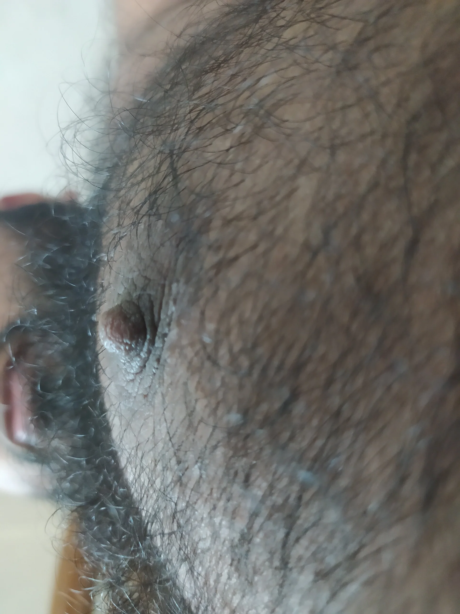 XXX Porn Photo of Nude MarvinBienaime 3