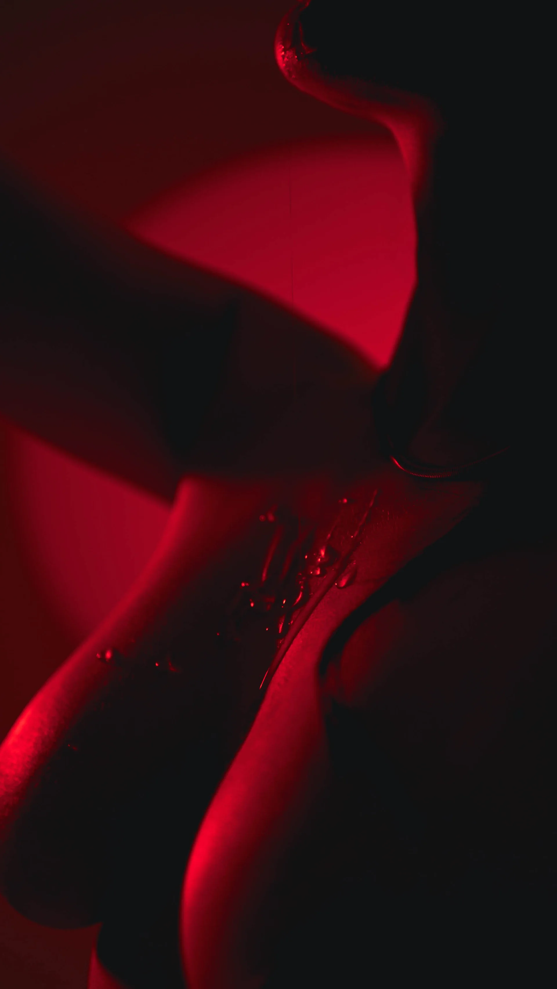 XXX Porn Photo of Nude Victoria_Watsson 349