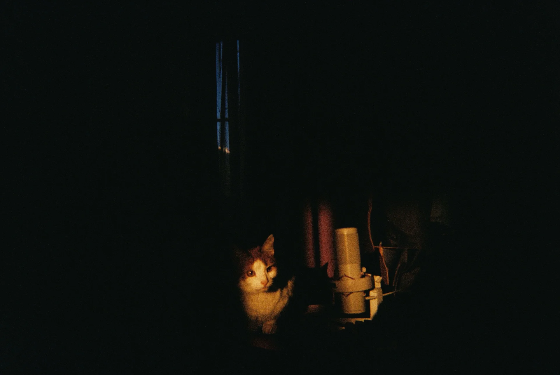 XXX Porn Photo of Nude RedLipse 124