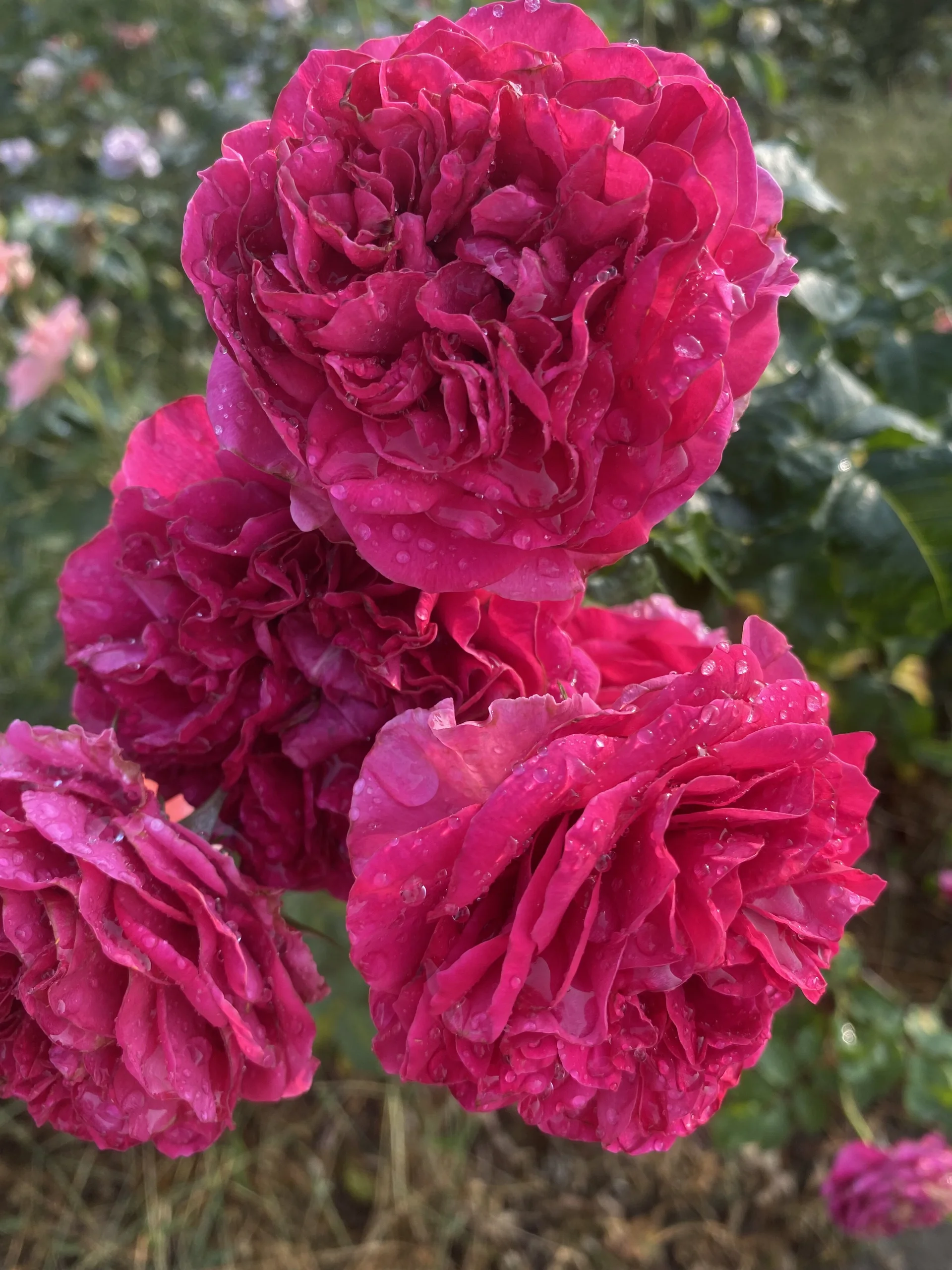 XXX Porn Photo of Nude xxDepzaixx 9