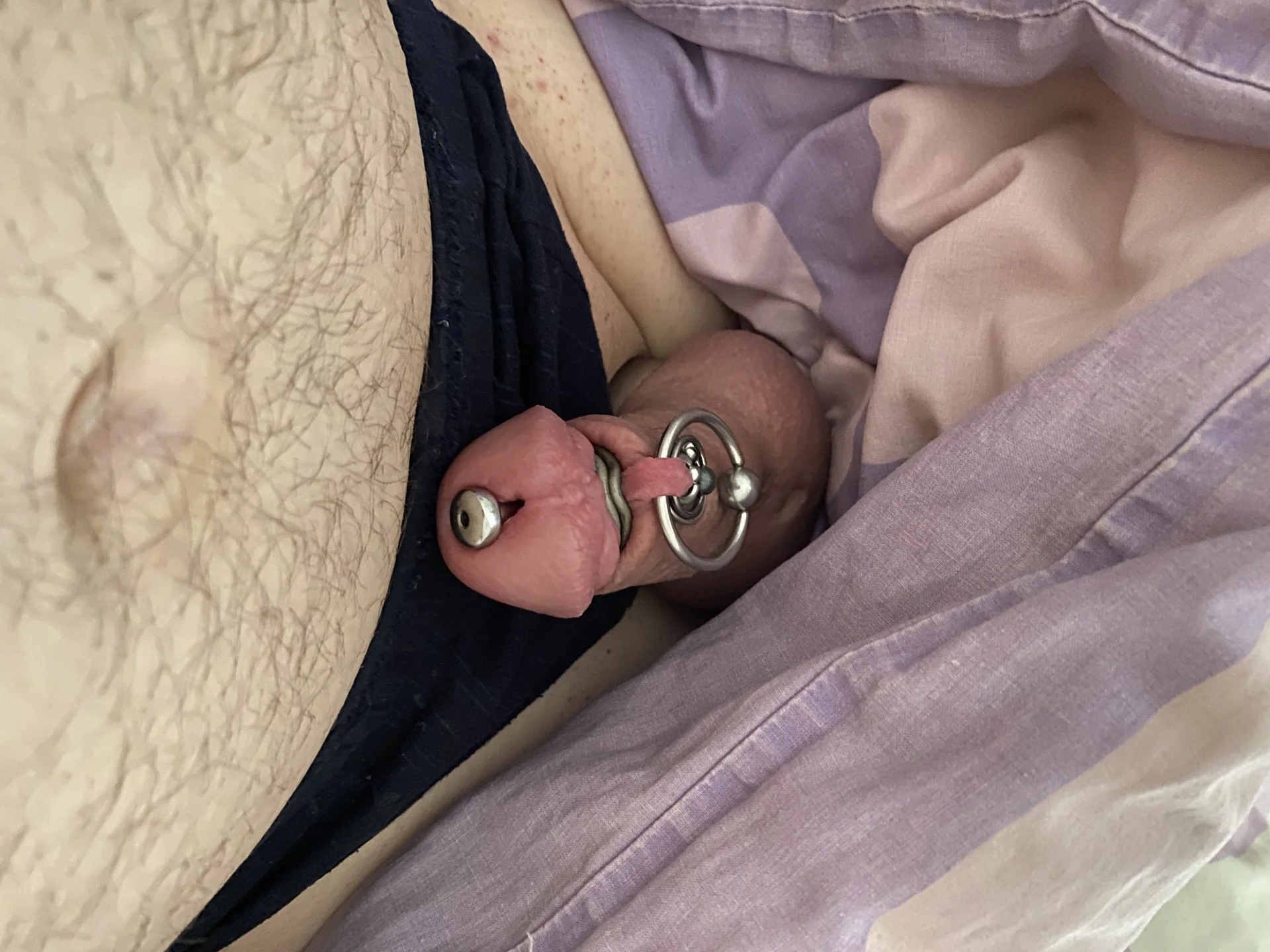 XXX Porn Photo of Nude geiler-arsch 2