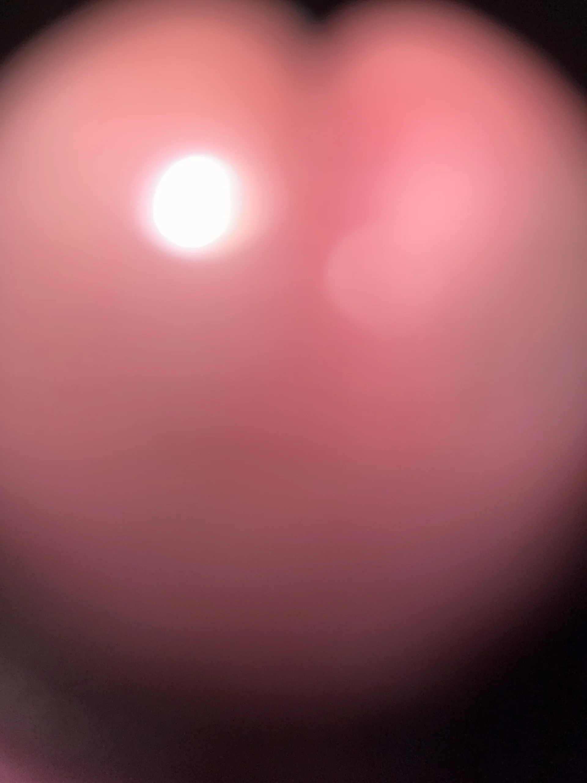 XXX Porn Photo of Nude elverga420F 4