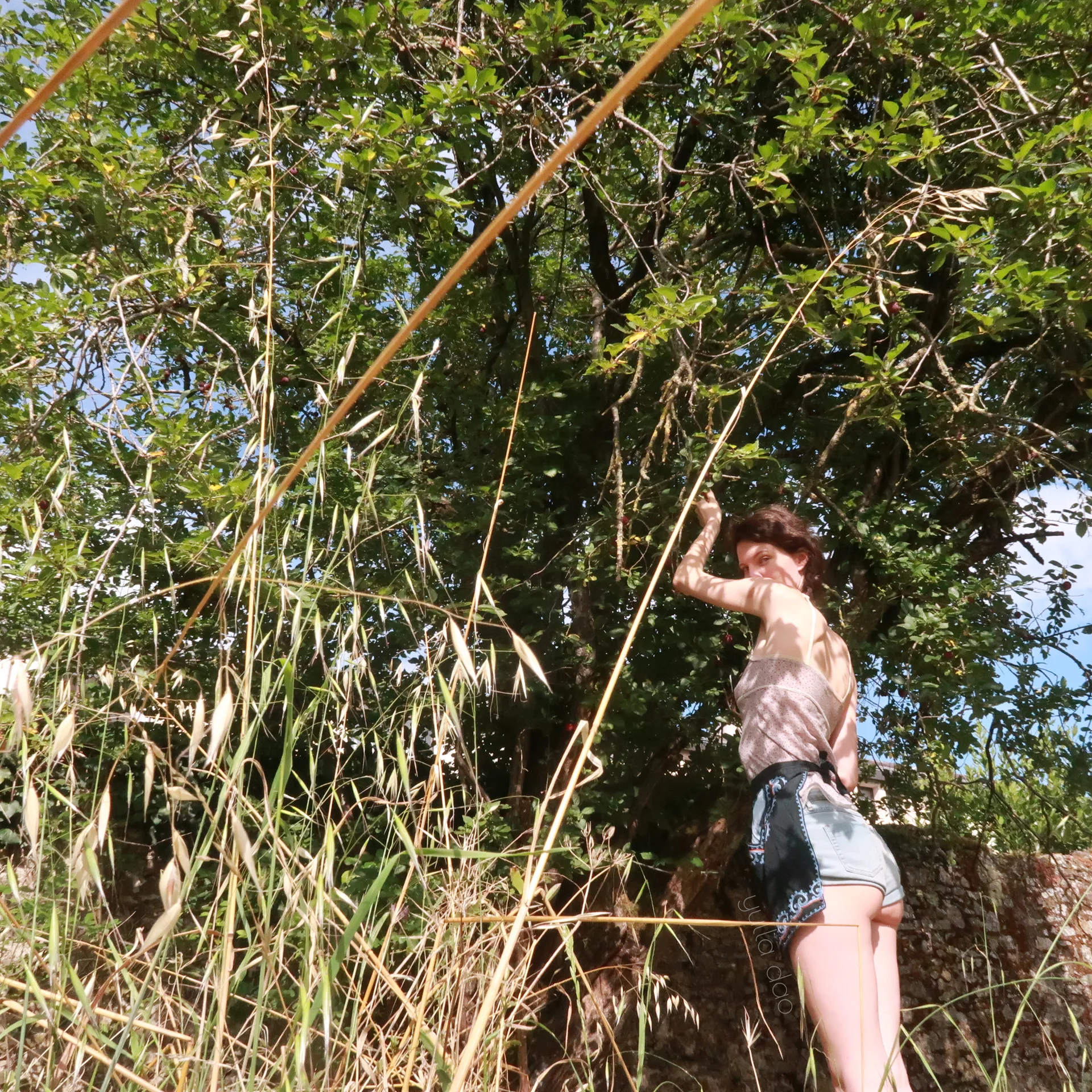 XXX Porn Photo of Nude yulladao 1579