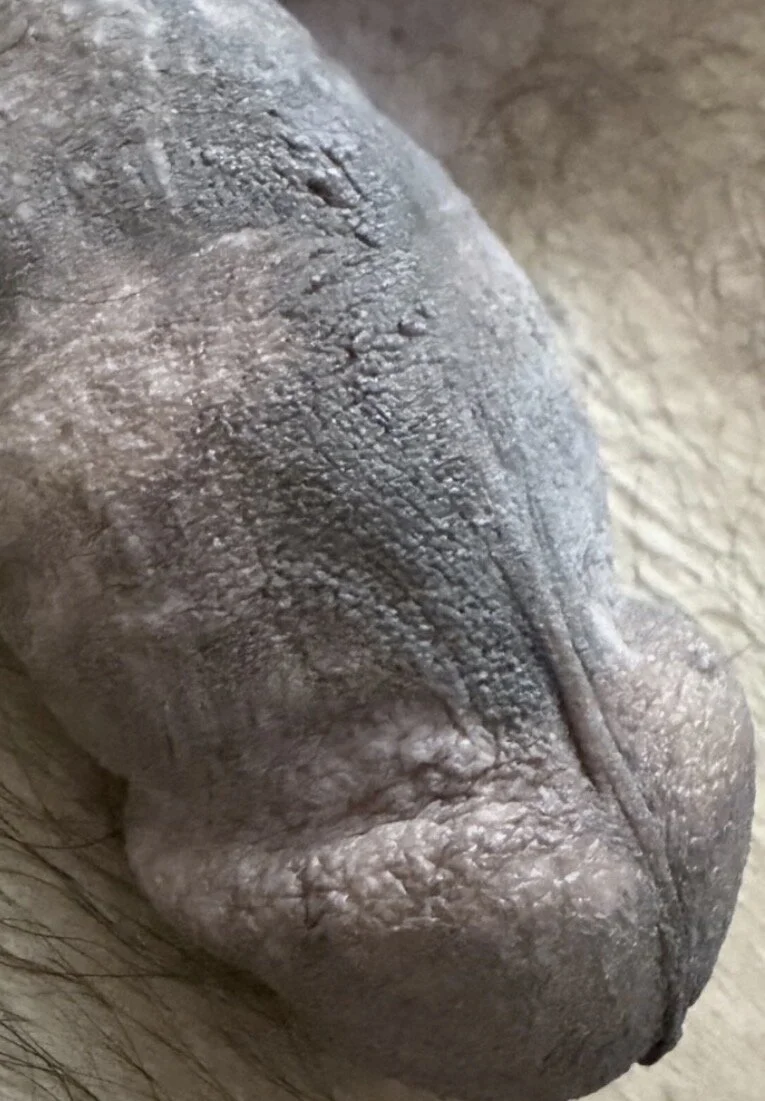 XXX Porn Photo of Nude mdlaif1111 4