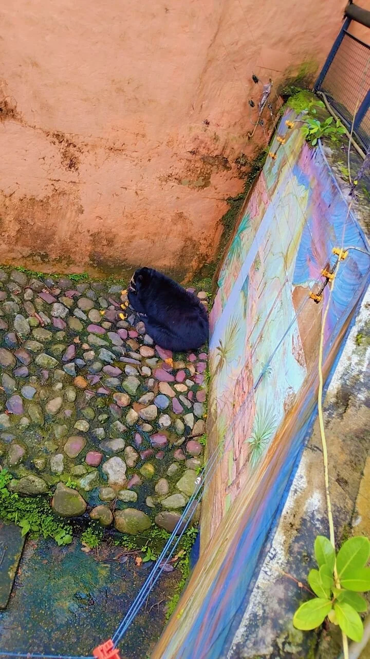 XXX Porn Photo of Nude haiden-hot19cm 44