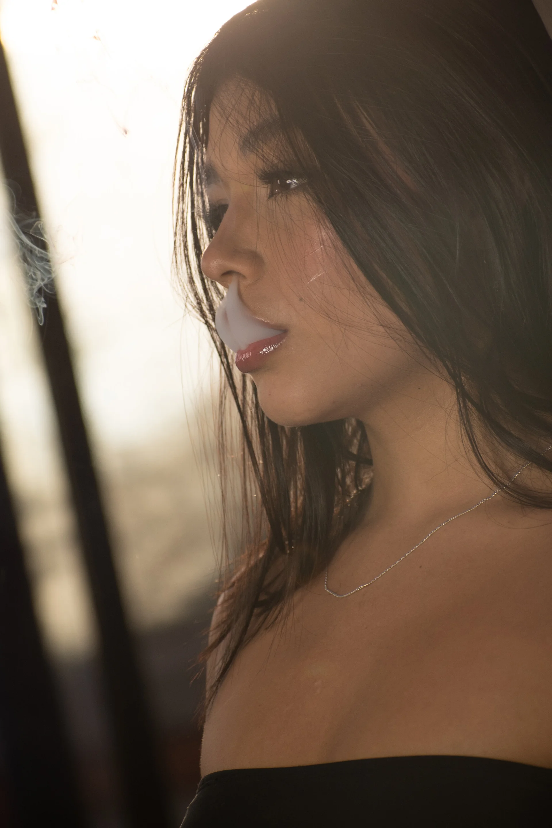 XXX Porn Photo of Nude ShaniaDaniels 31