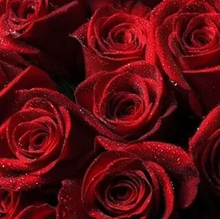 XXX Porn Photo of Nude Elizabe_th 8