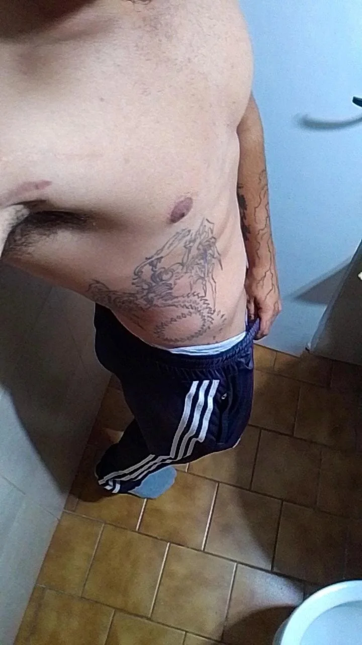 Elvismaximo