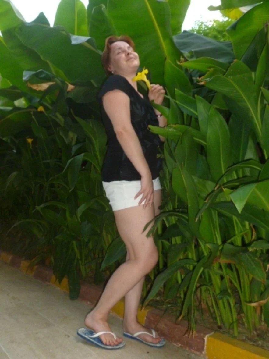 Aphelandra