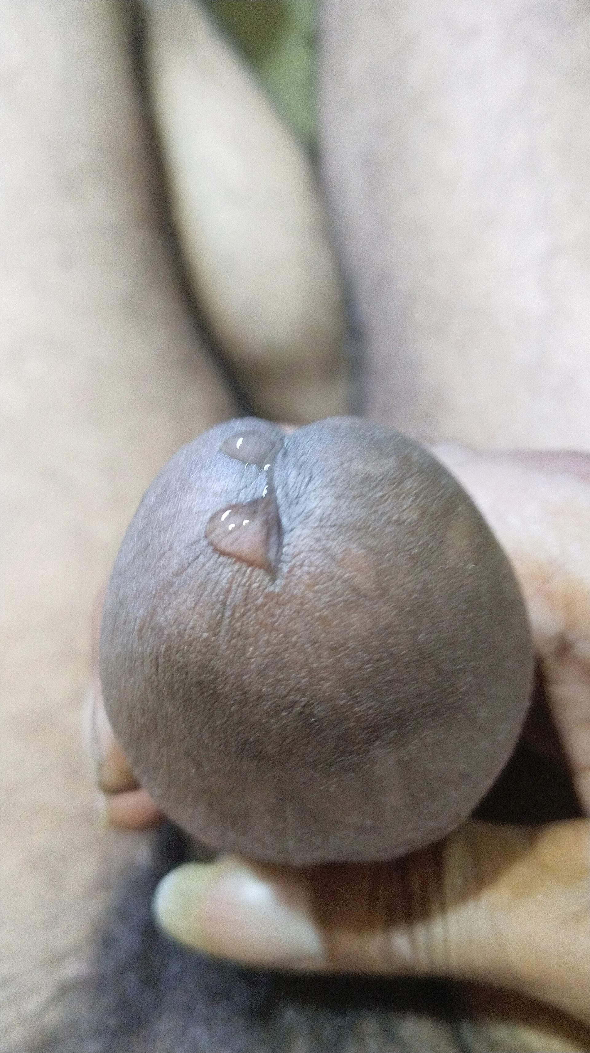 XXX Porn Photo of Nude BadBoySmoker7070 81
