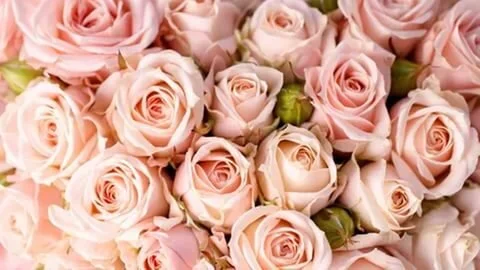 XXX Porn Photo of Nude Elizabe_th 7