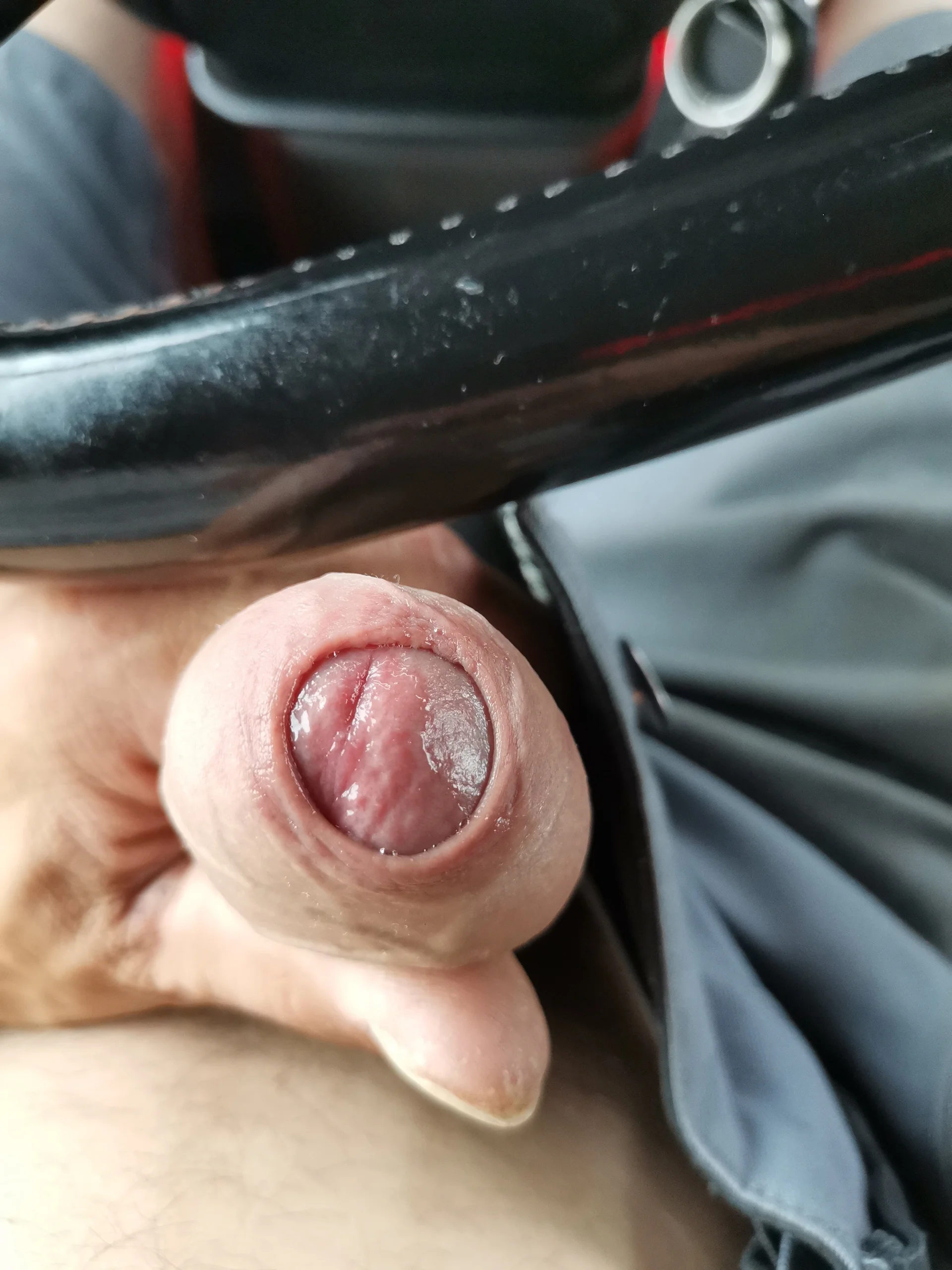 XXX Porn Photo of Nude Scaniaxt 1
