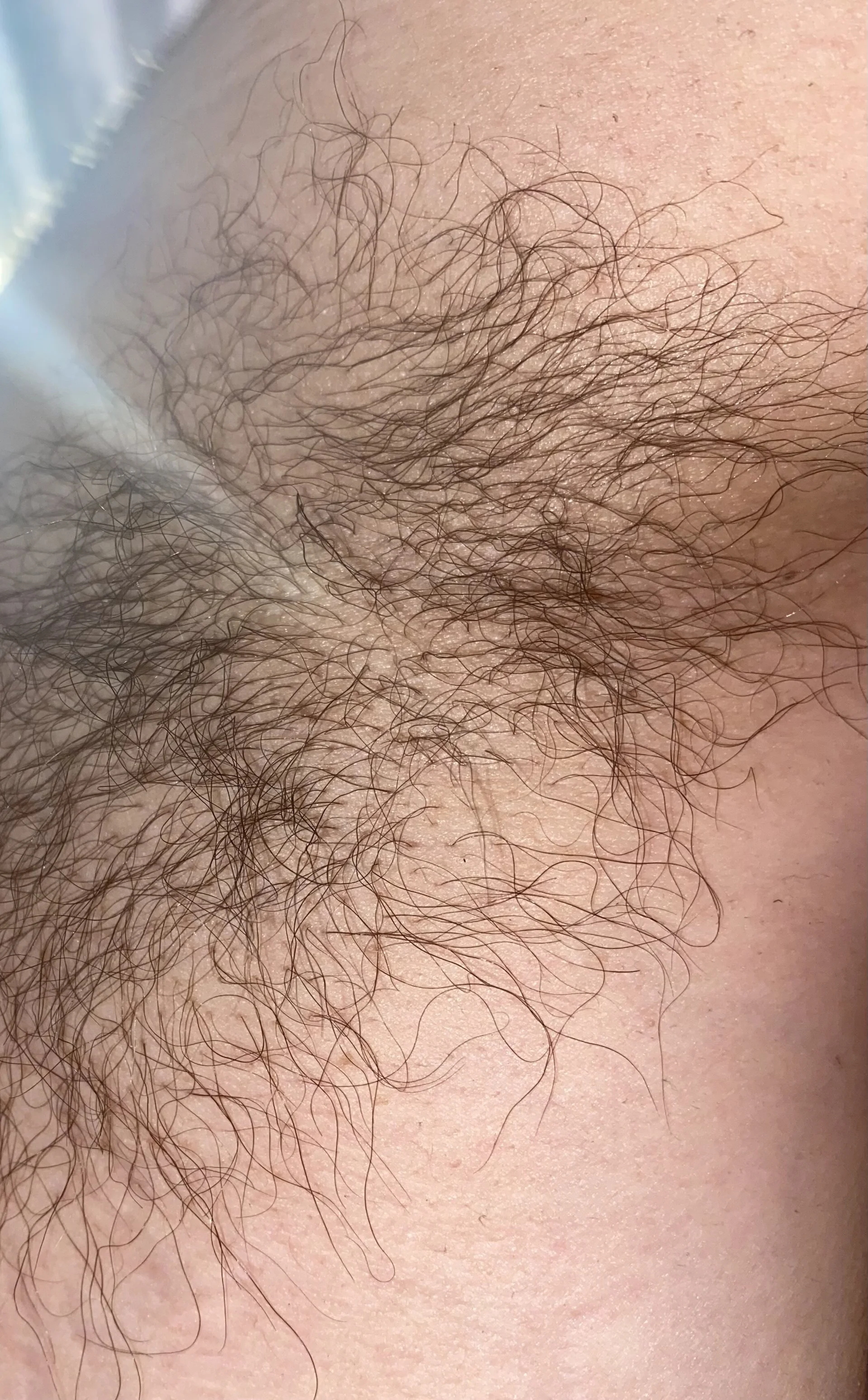 XXX Porn Photo of Nude Nice_n_hairy580 25