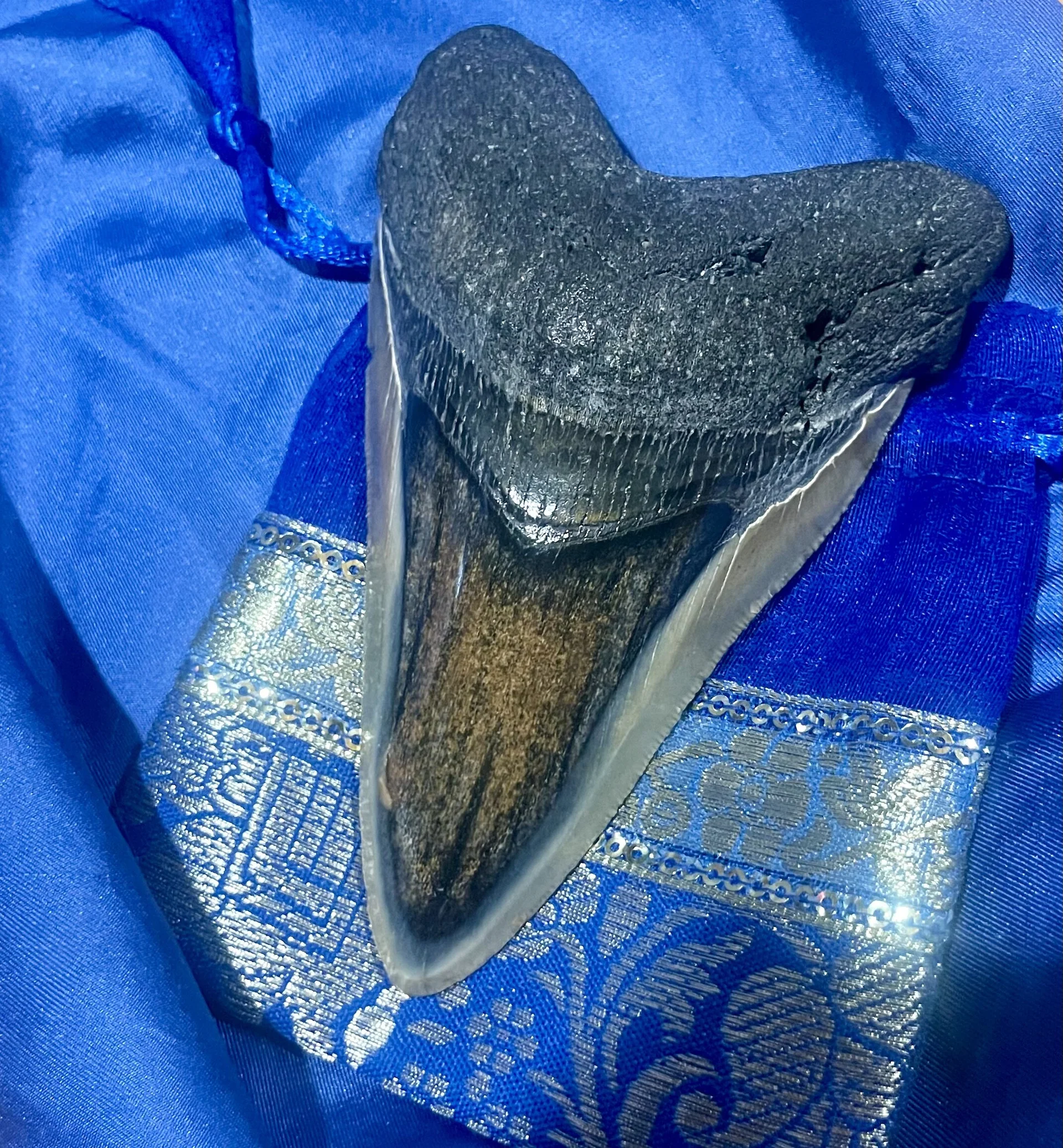 XXX Porn Photo of Nude SwordStallionVibes 14