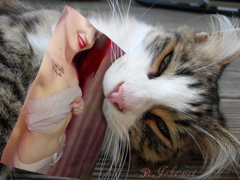XXX Porn Photo of Nude CatWoman0001 78