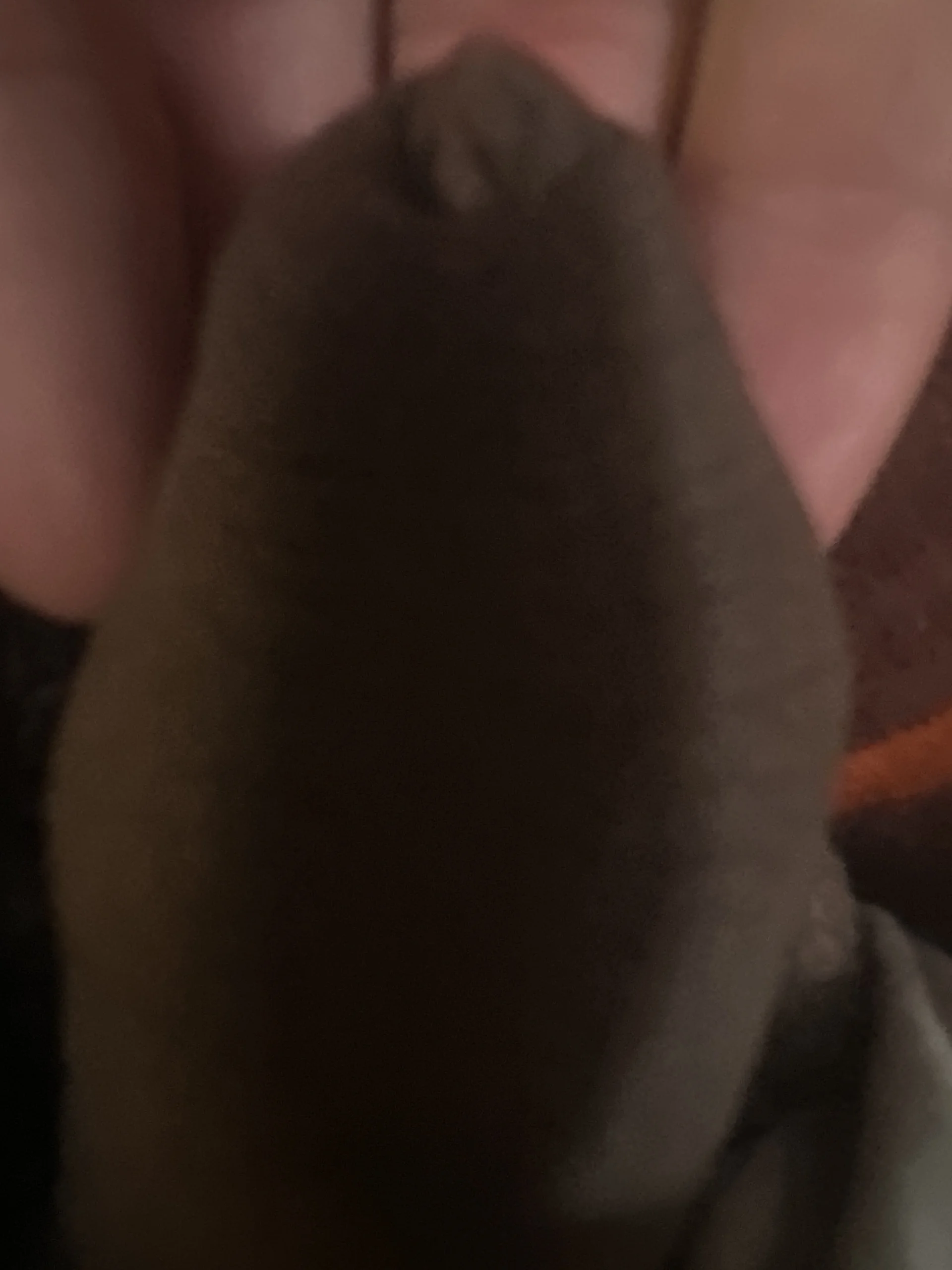 XXX Porn Photo of Nude imaan10 3