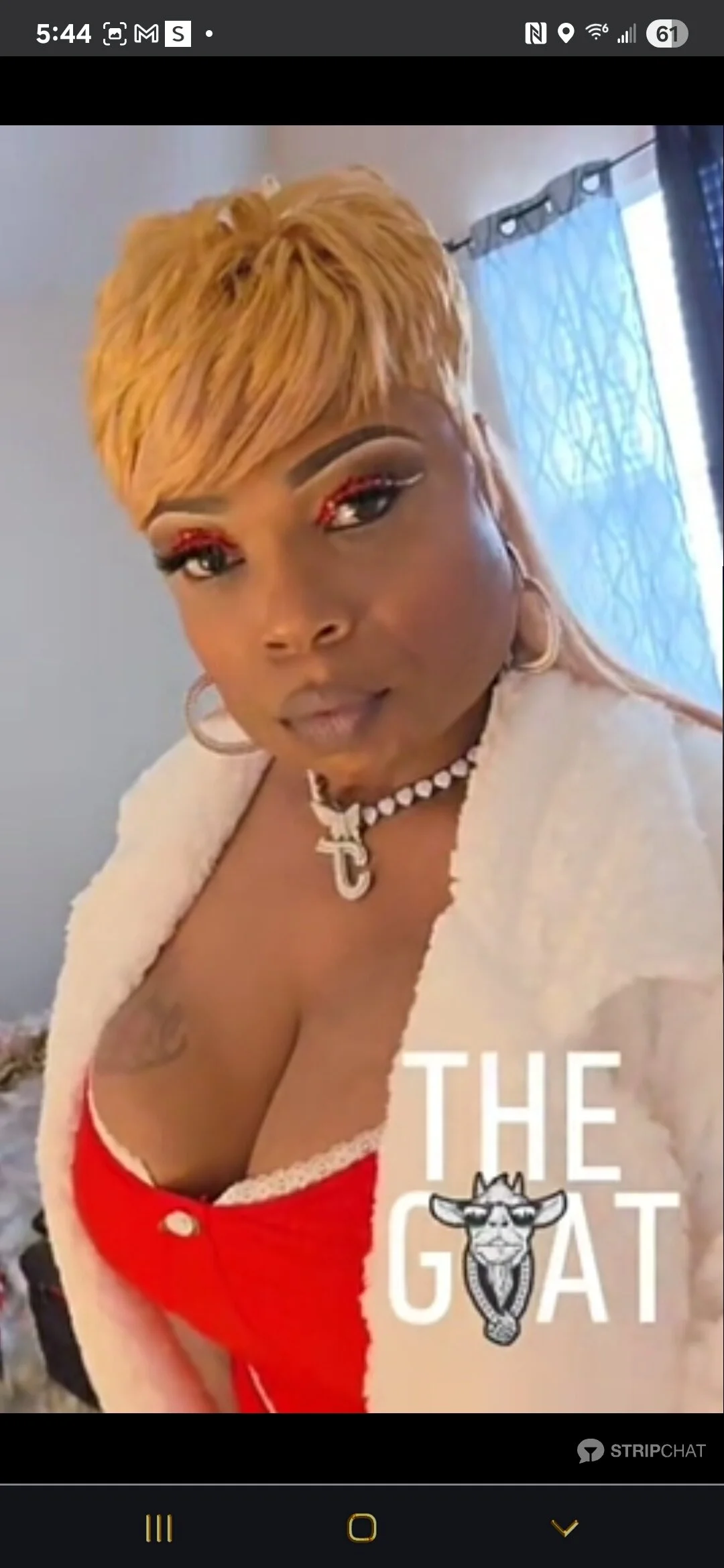 XXX Porn Photo of Nude shecockts 1
