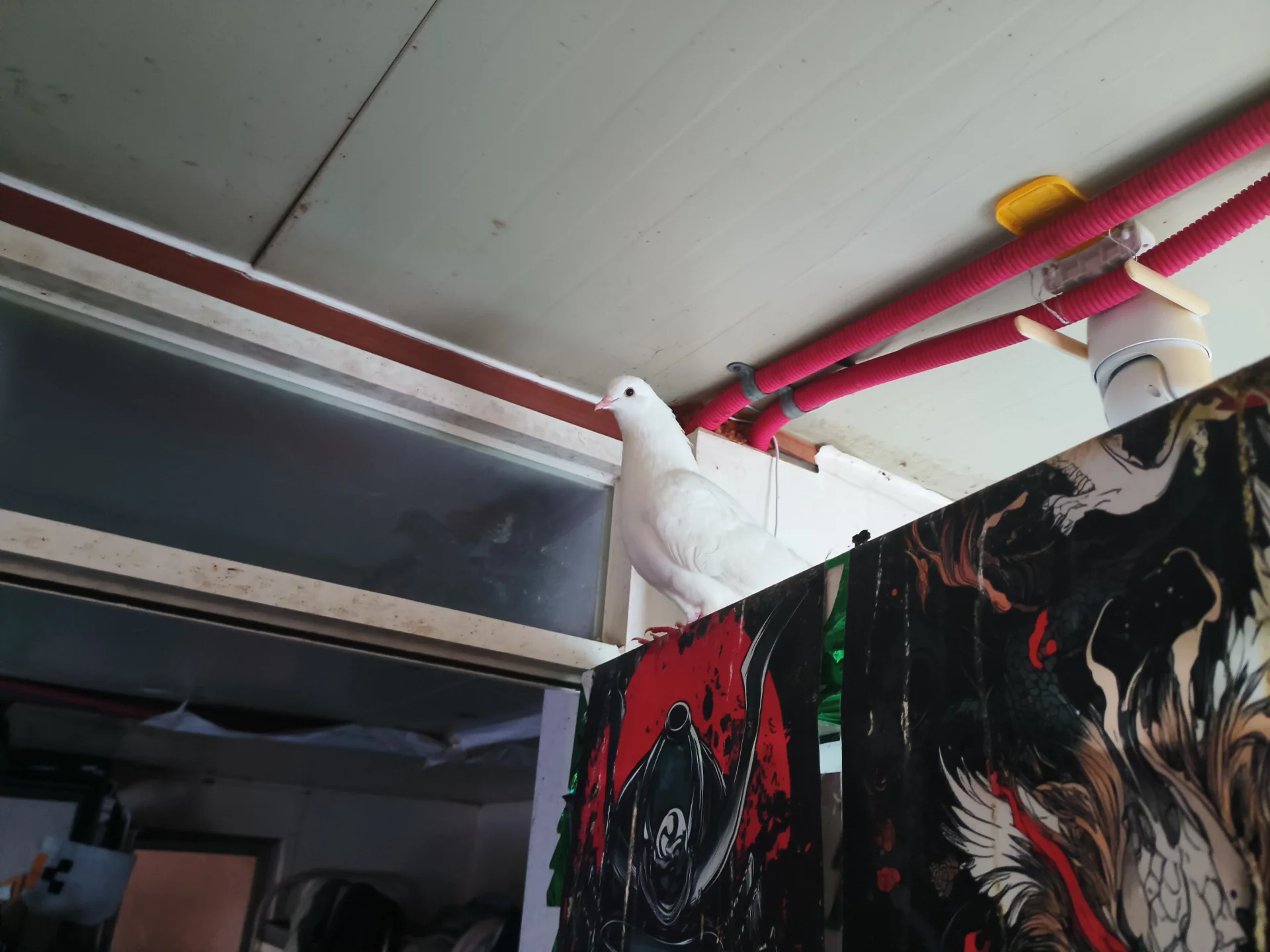 XXX Porn Photo of Nude hydra0613 25
