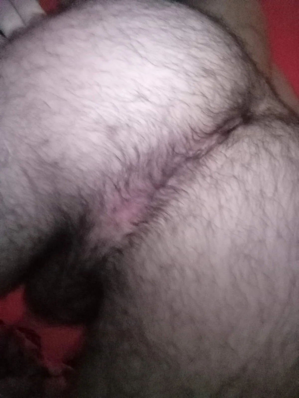 XXX Porn Photo of Nude ItalianDaddyWolf 7