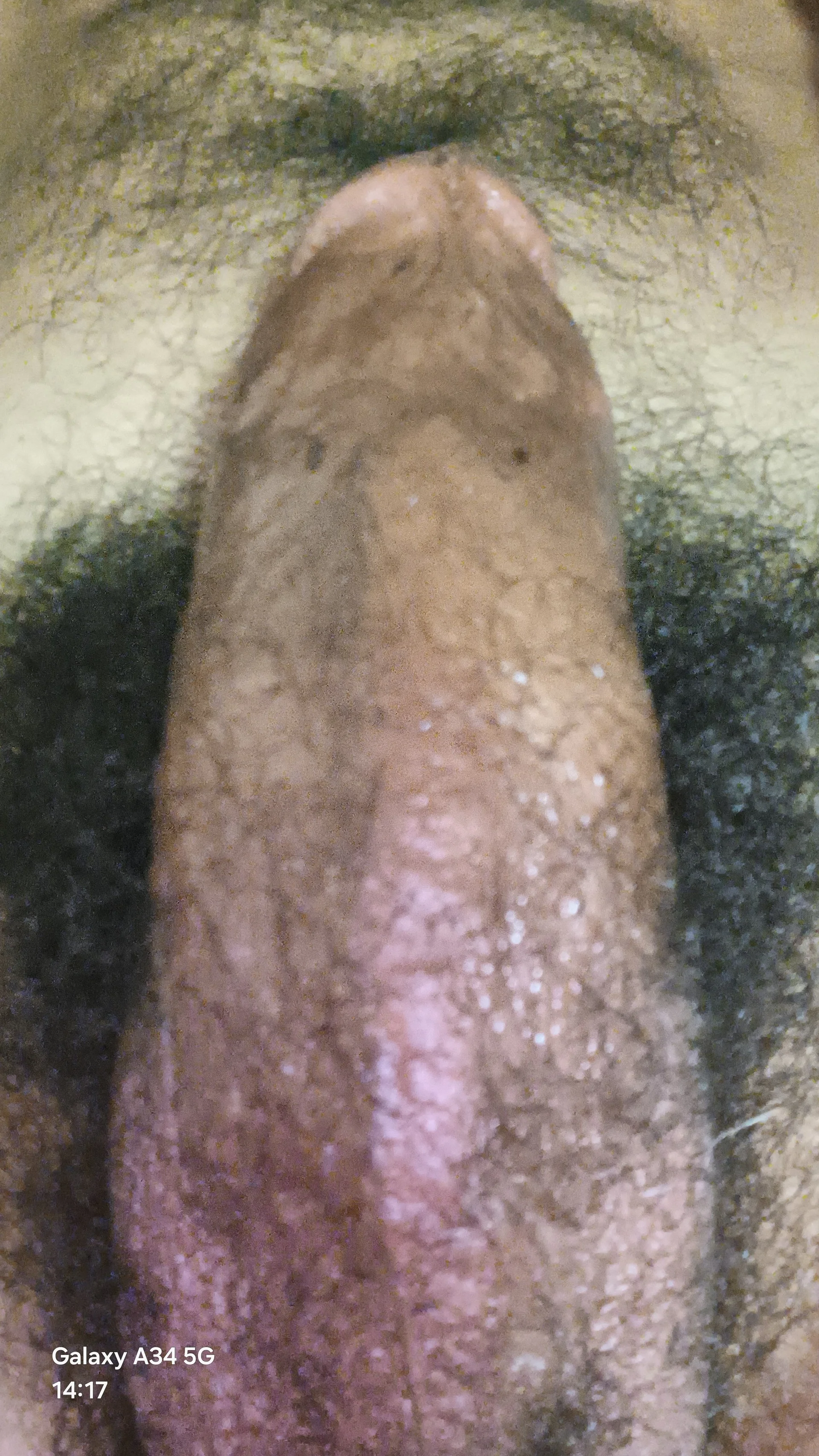 XXX Porn Photo of Nude SlipperyEssay 1