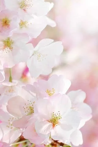 XXX Porn Photo of Nude Yuzuki_chan 6