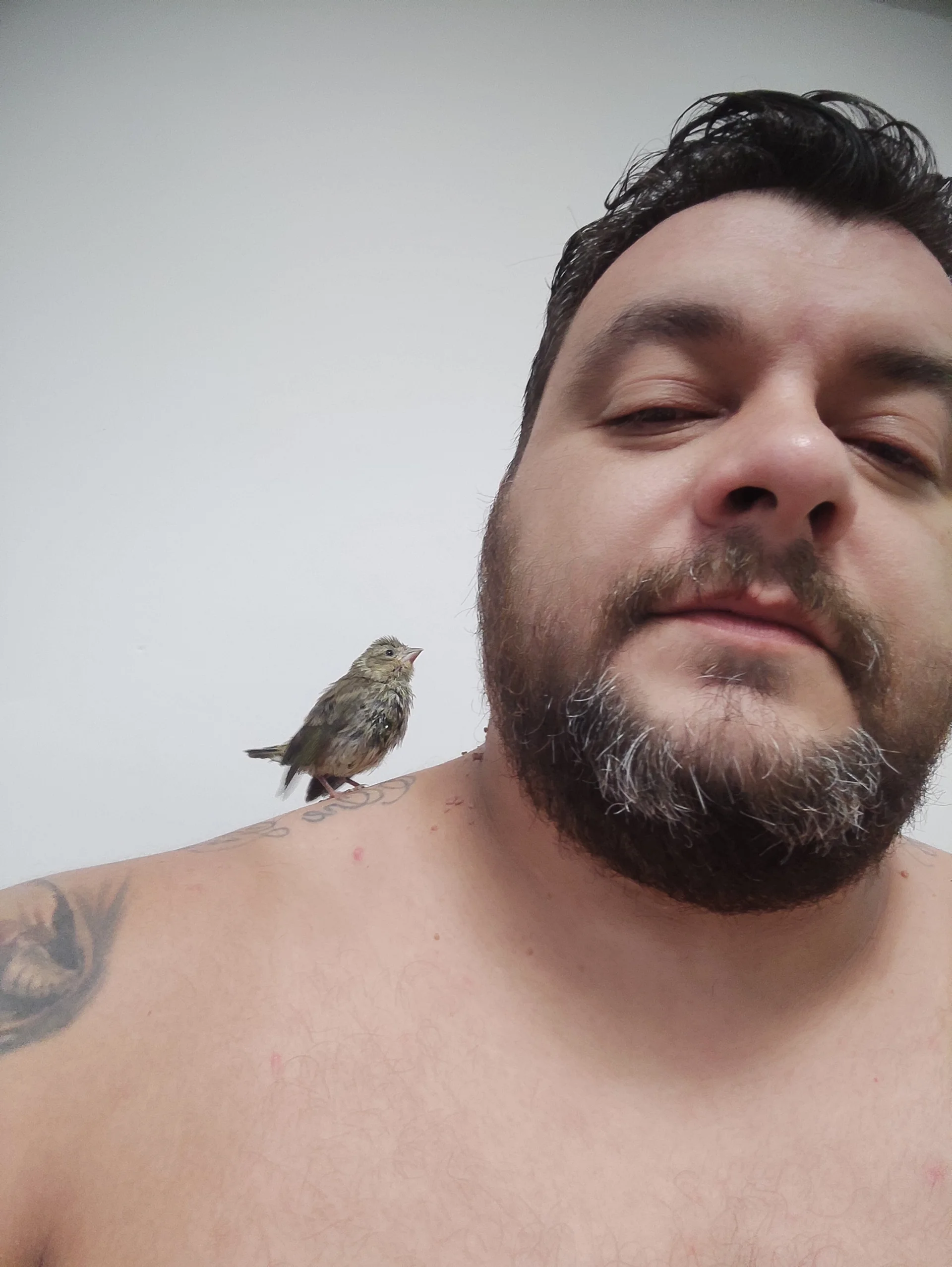 XXX Porn Photo of Nude TomasTenerife 2