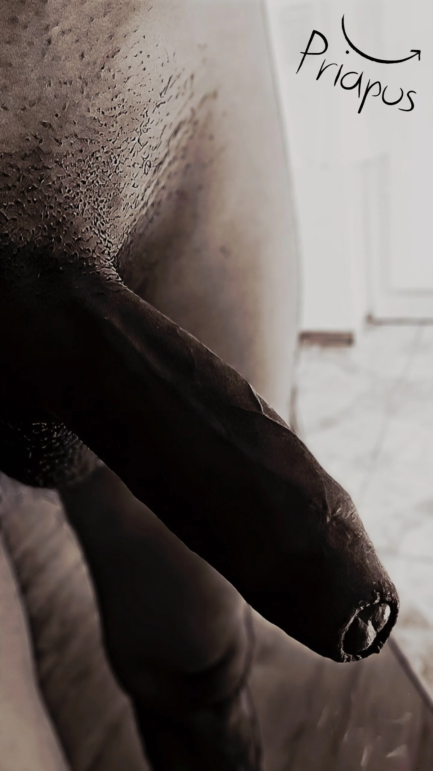 XXX Porn Photo of Nude PriapusAesthetic 13