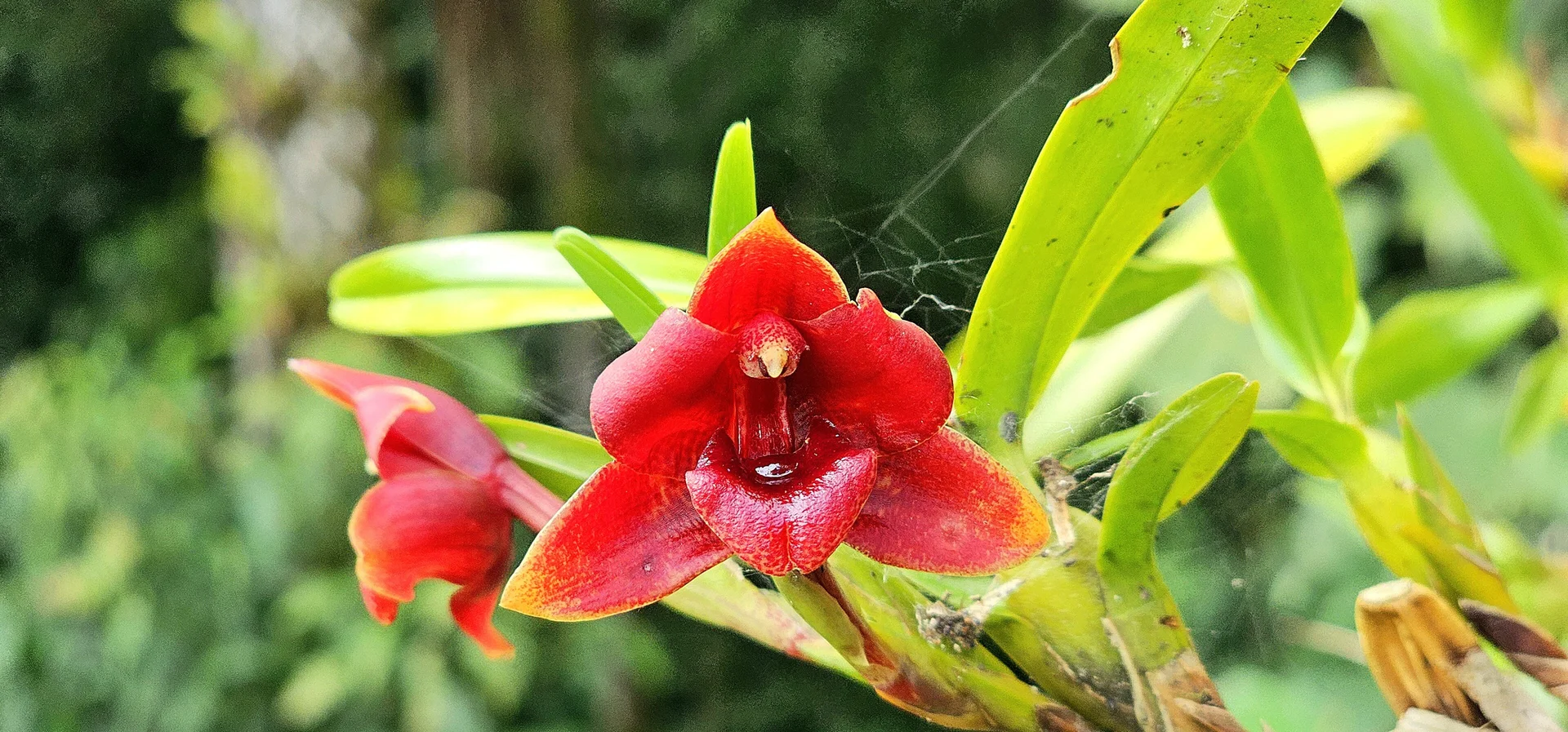 XXX Porn Photo of Nude Kore_Persephone 69