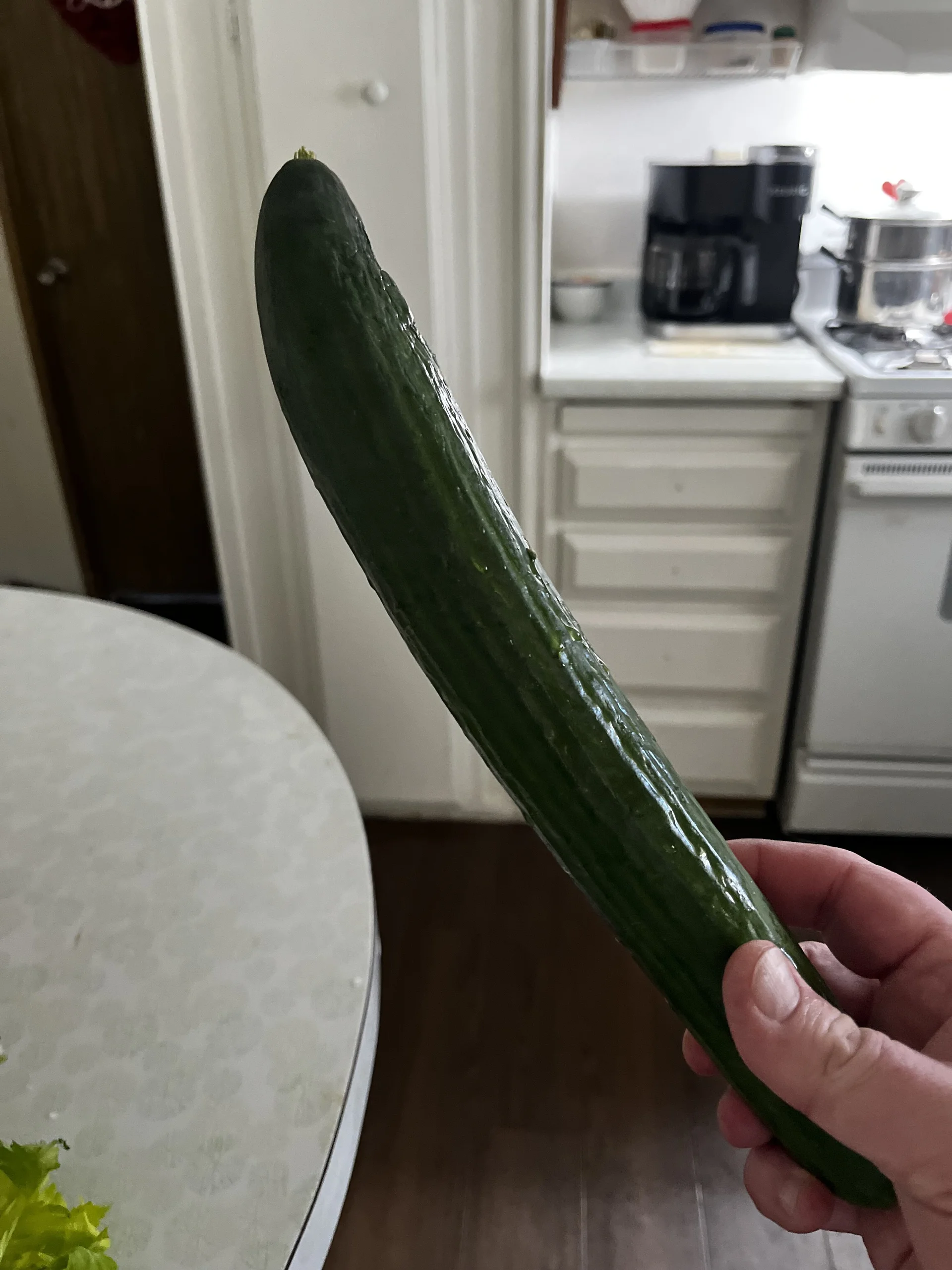 XXX Porn Photo of Nude GingerSnap4444 36