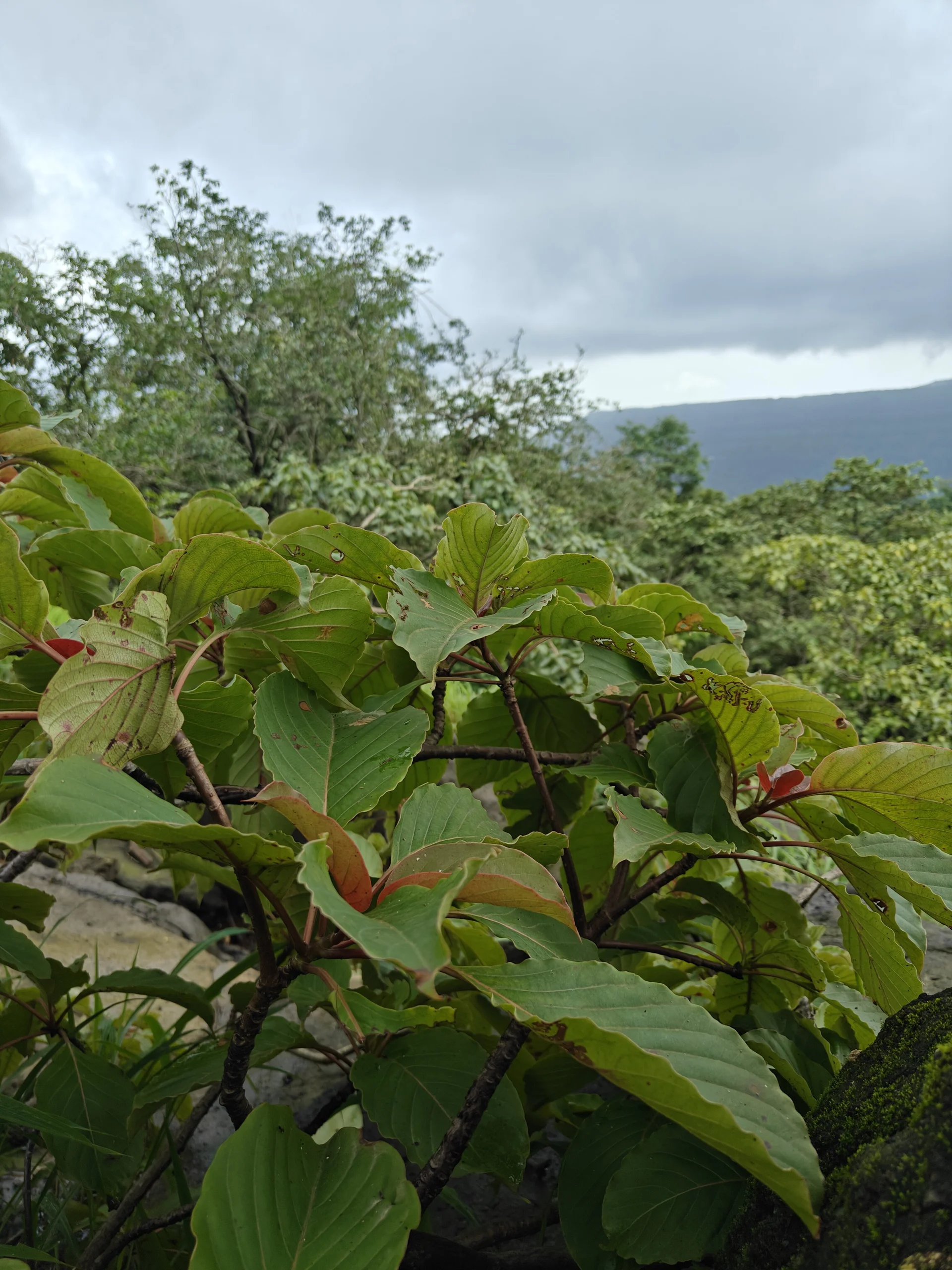 XXX Porn Photo of Nude yung_cplz 3