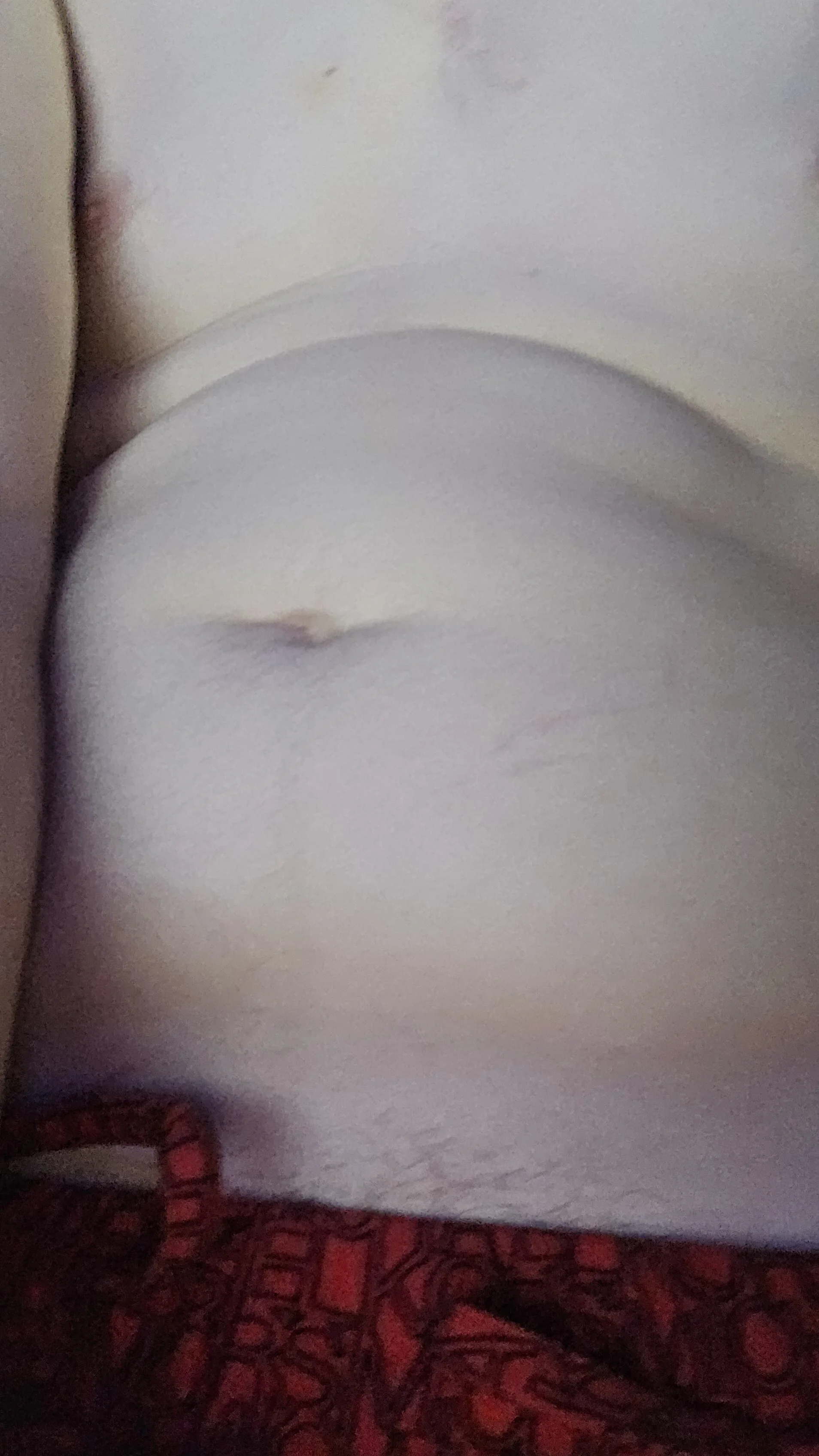 XXX Porn Photo of Nude sxygreek 3