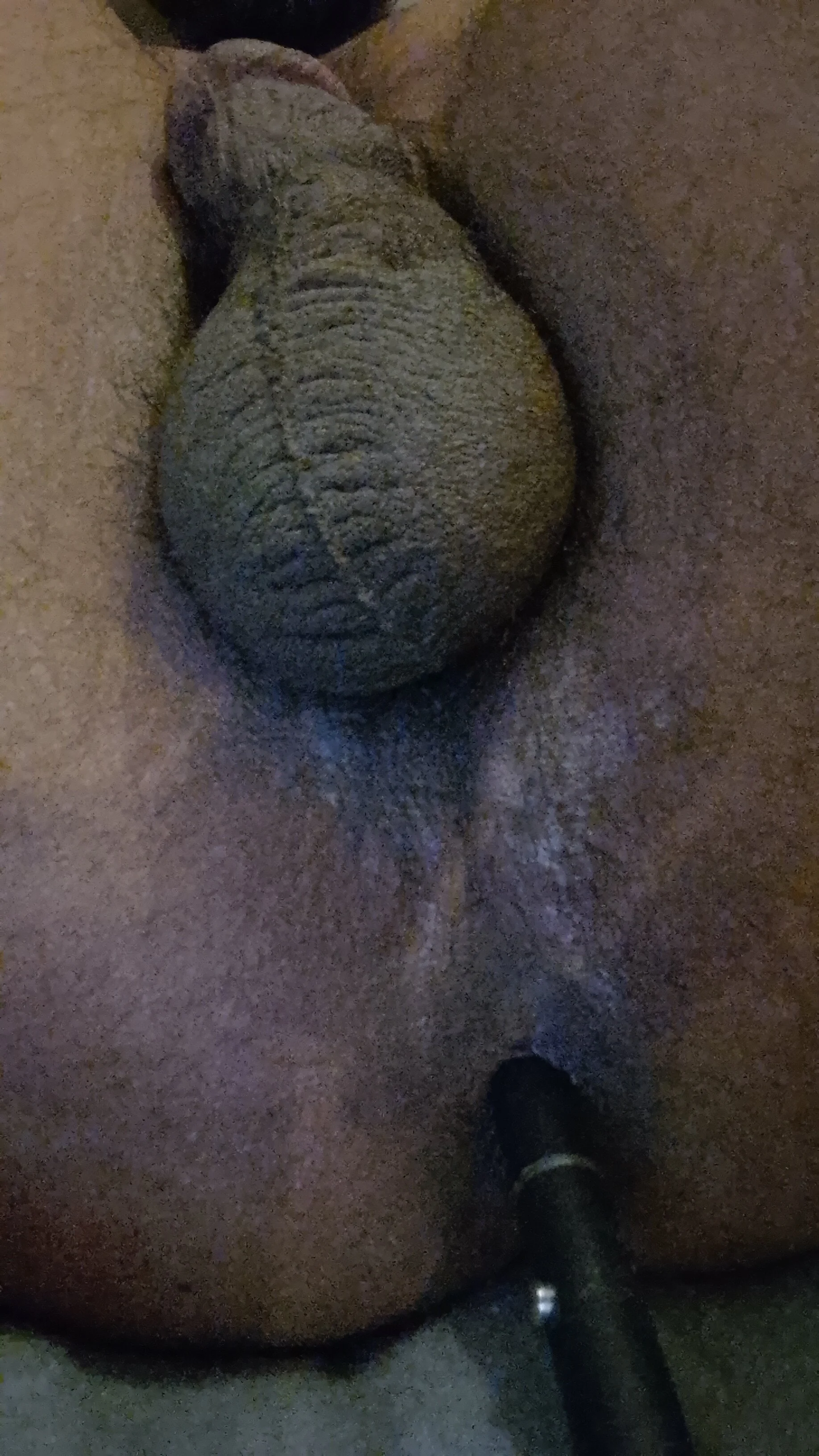 XXX Porn Photo of Nude T1T012 2