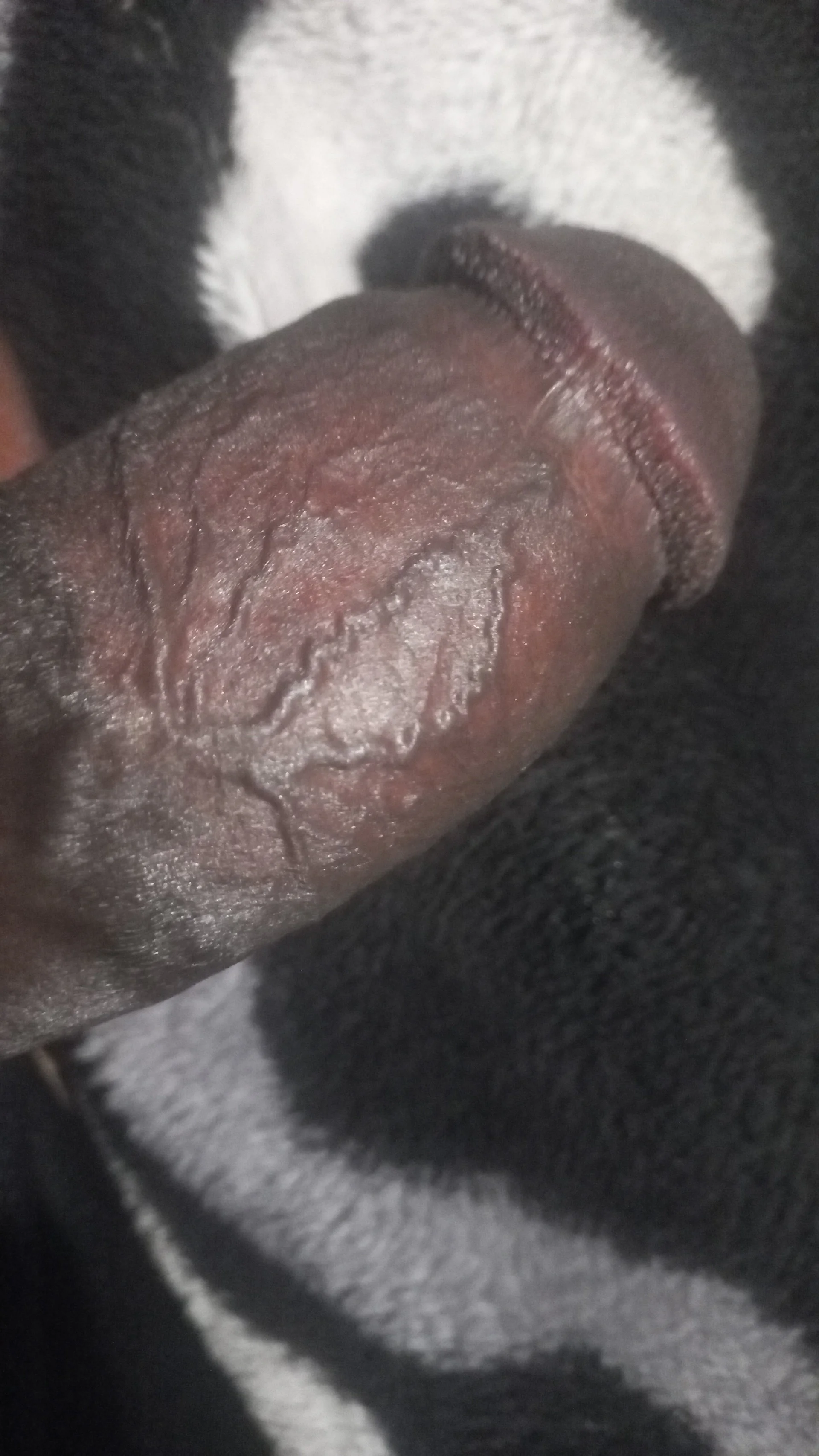 XXX Porn Photo of Nude Pretoriaxxbx 9