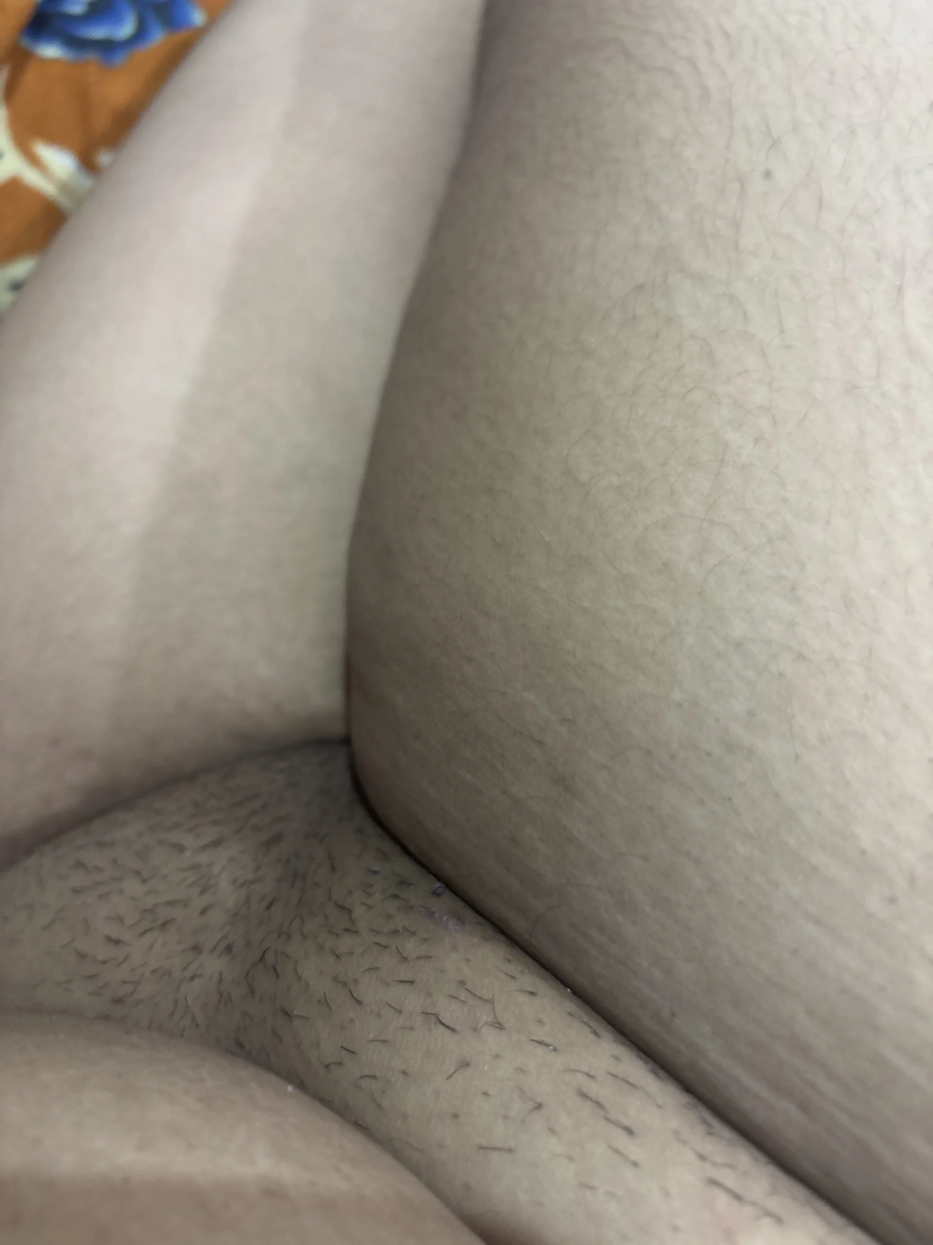 lovebug_69