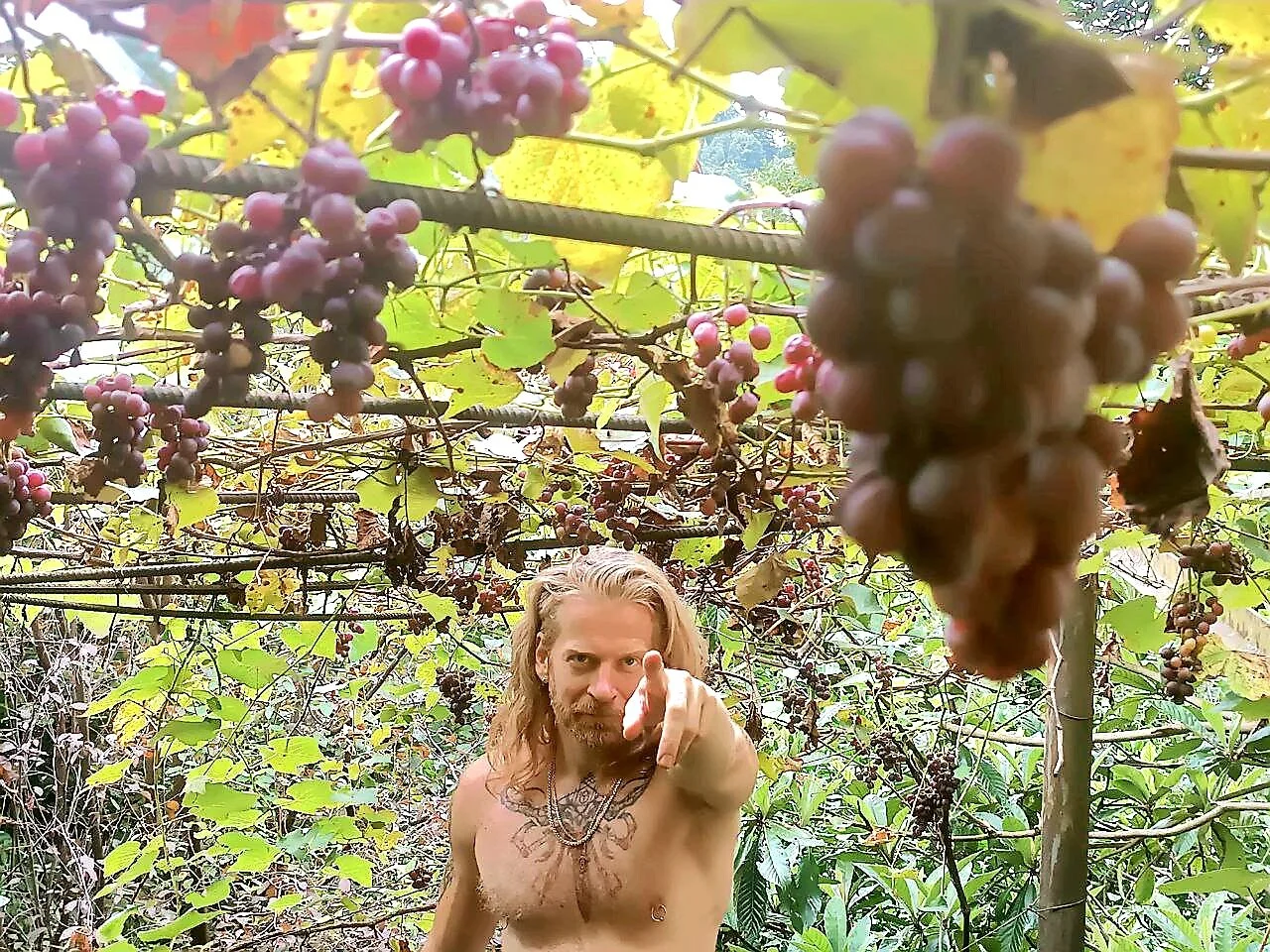 XXX Porn Photo of Nude Gingerbeard40 87