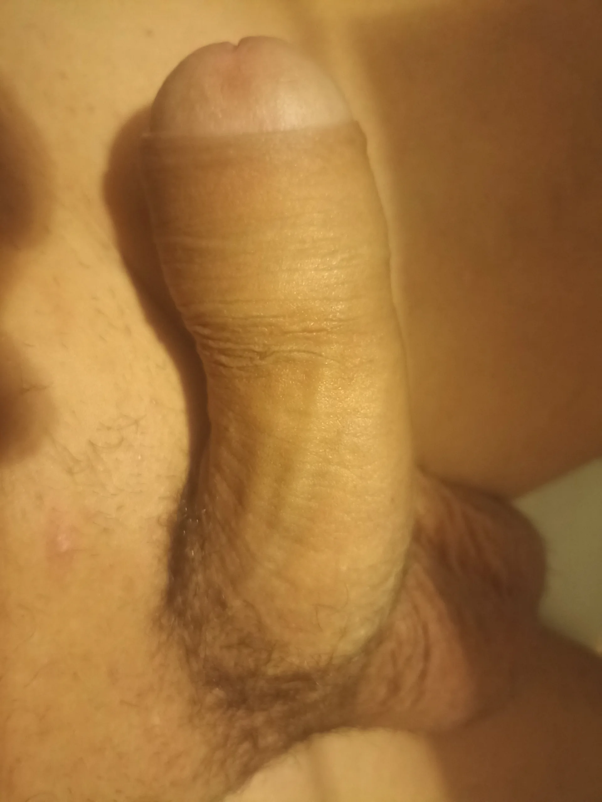 safira22