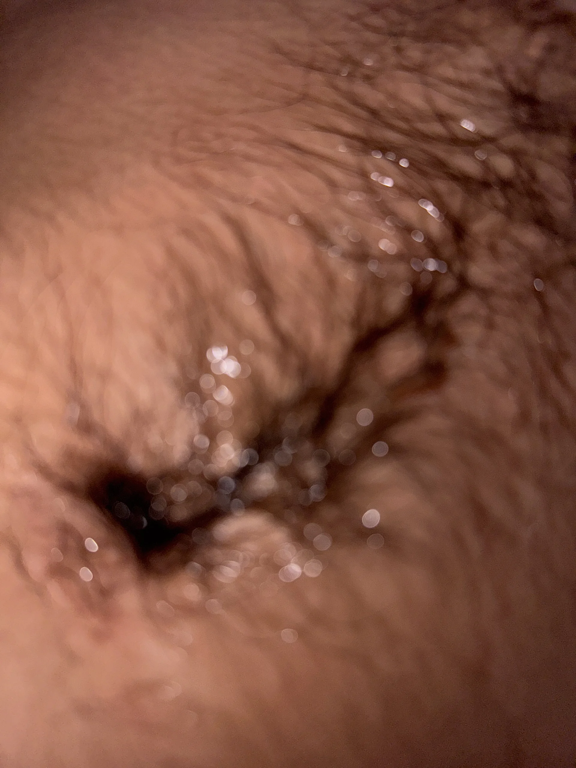 XXX Porn Photo of Nude VelvetRagottiOG 24