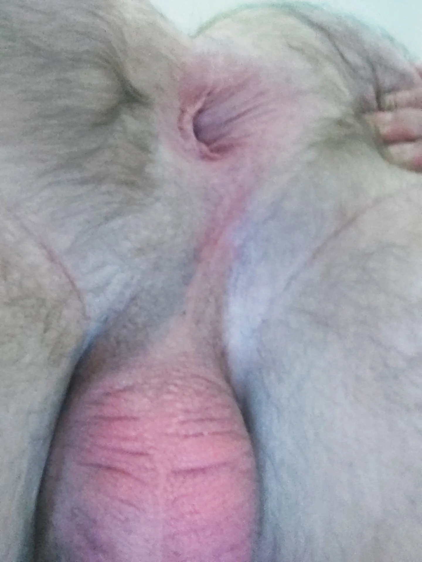 XXX Porn Photo of Nude WienBearBi 2