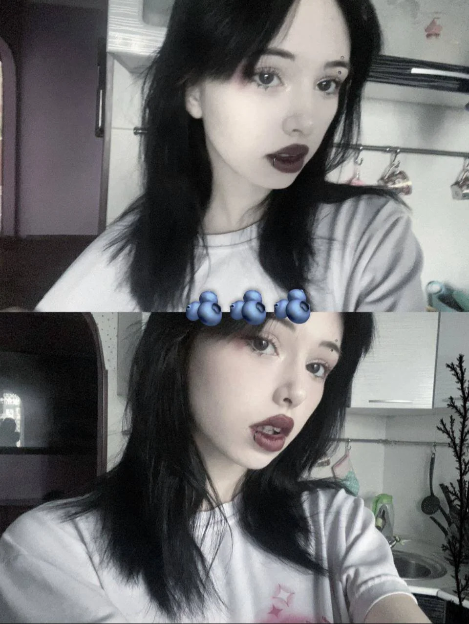 Mallory_polly