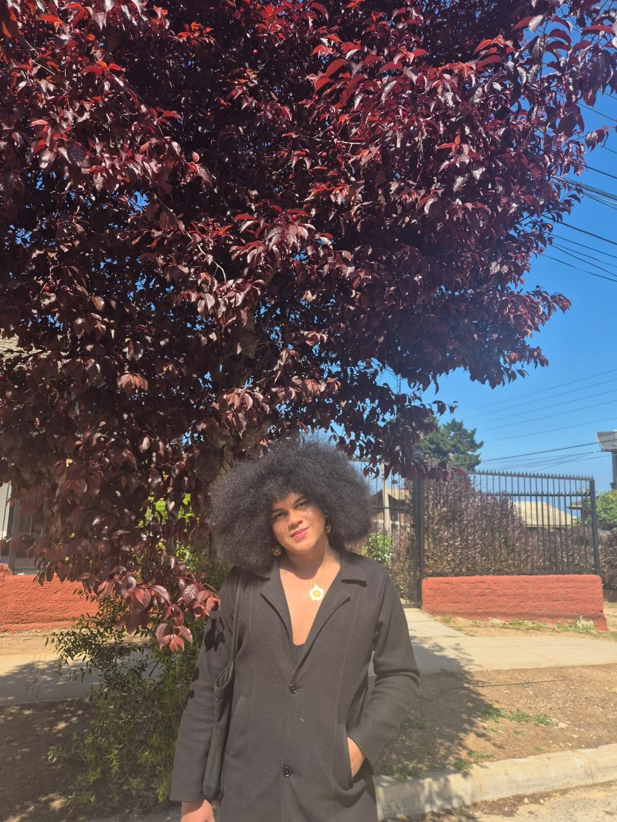 XXX Porn Photo of Nude afrodani 4