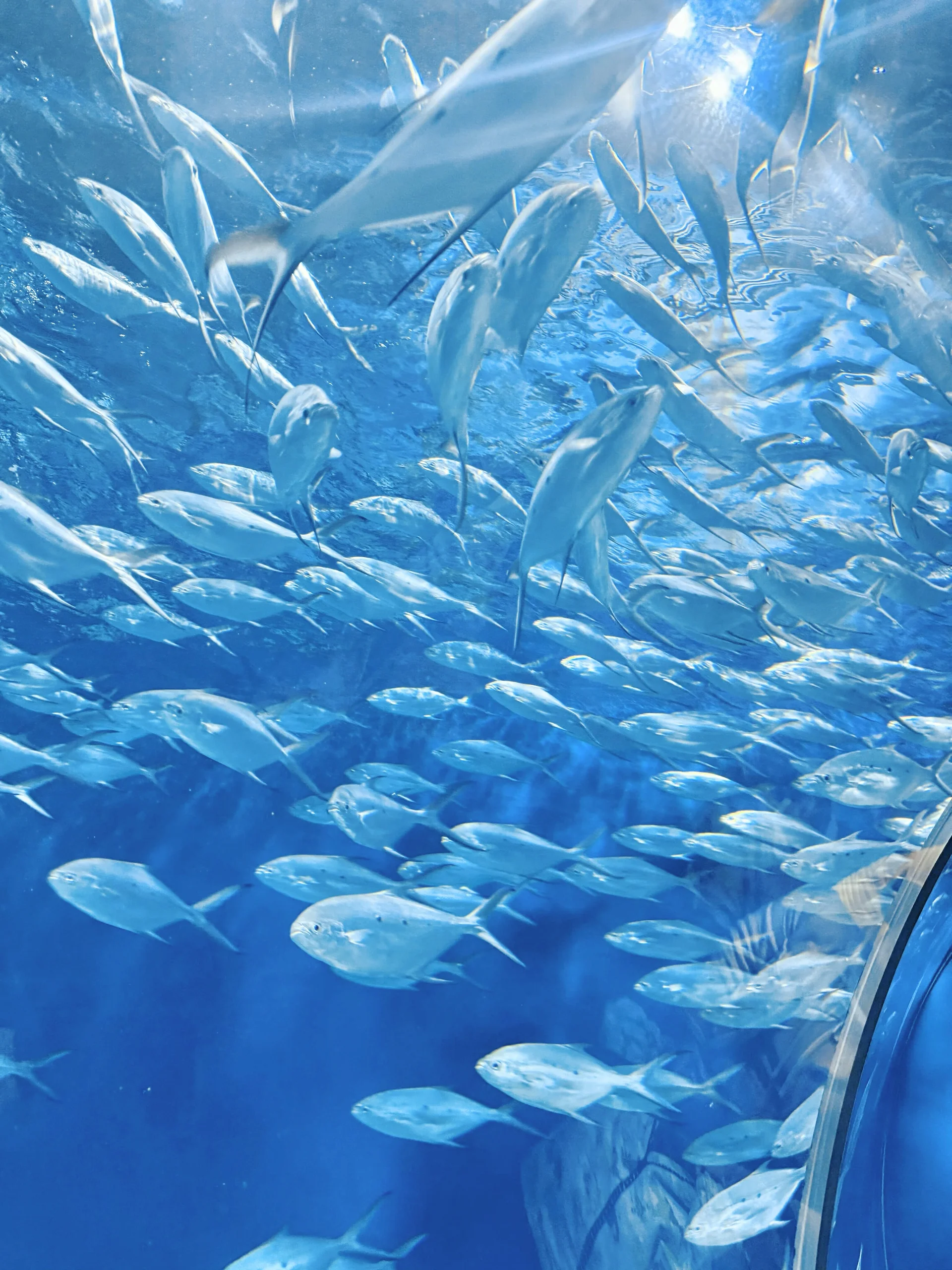 XXX Porn Photo of Nude Shinyo759 2