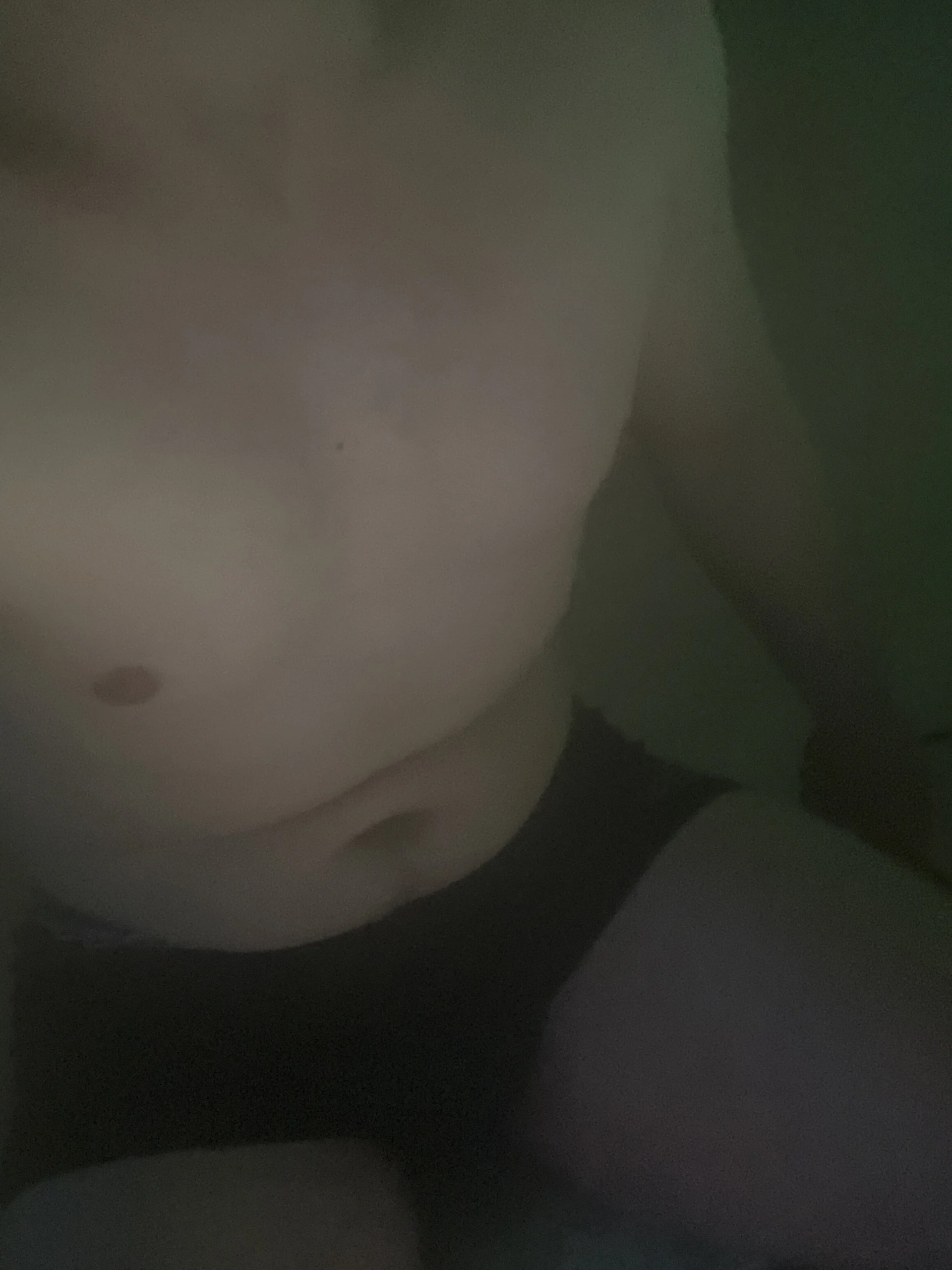 XXX Porn Photo of Nude ExTPat 8