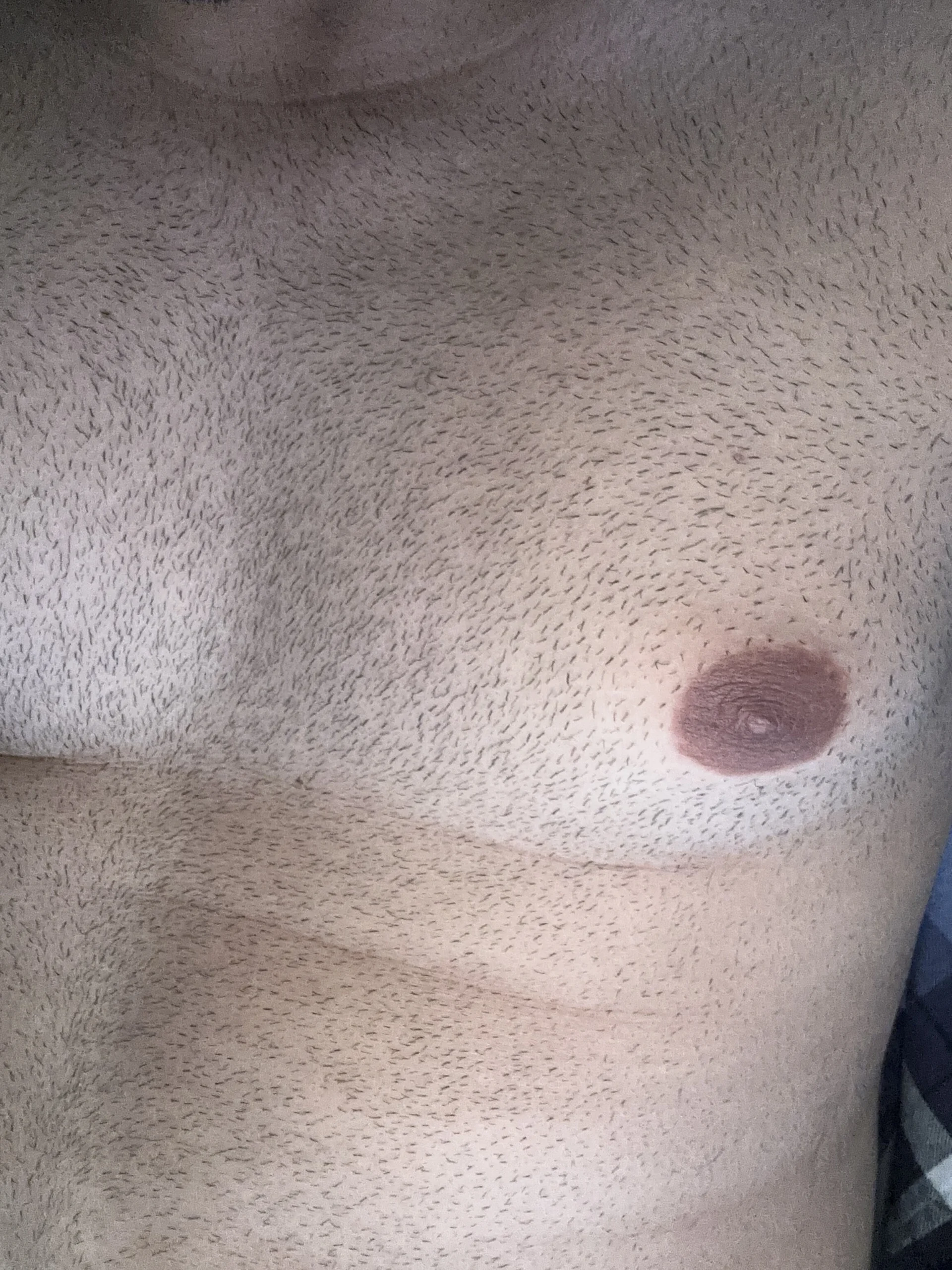 XXX Porn Photo of Nude Toto_t 3