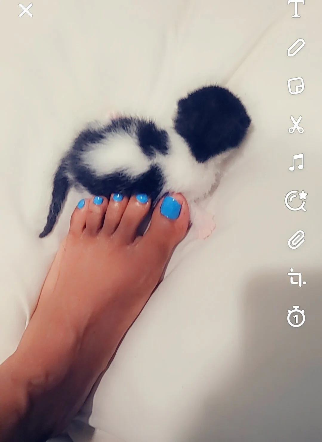 XXX Porn Photo of Nude Looking4Jerries 1