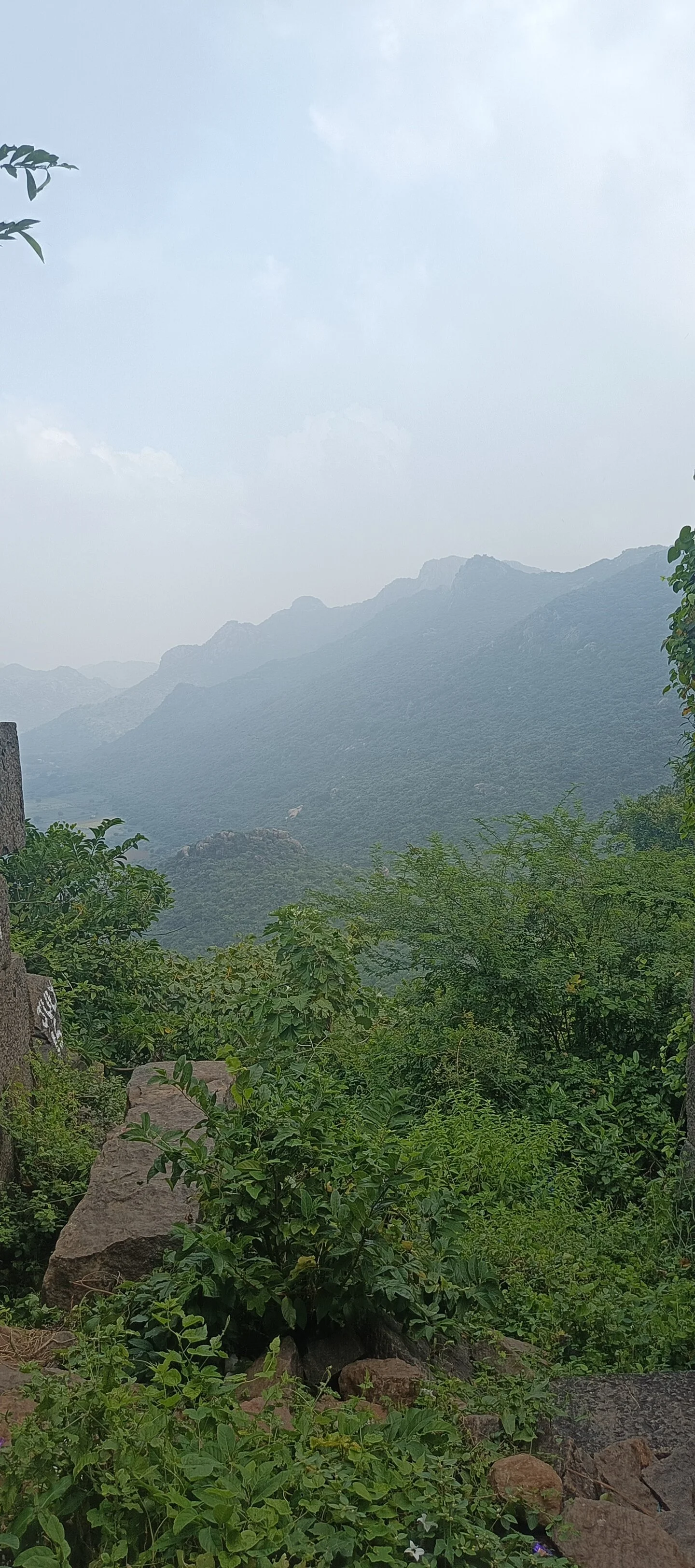 Tinku_1324