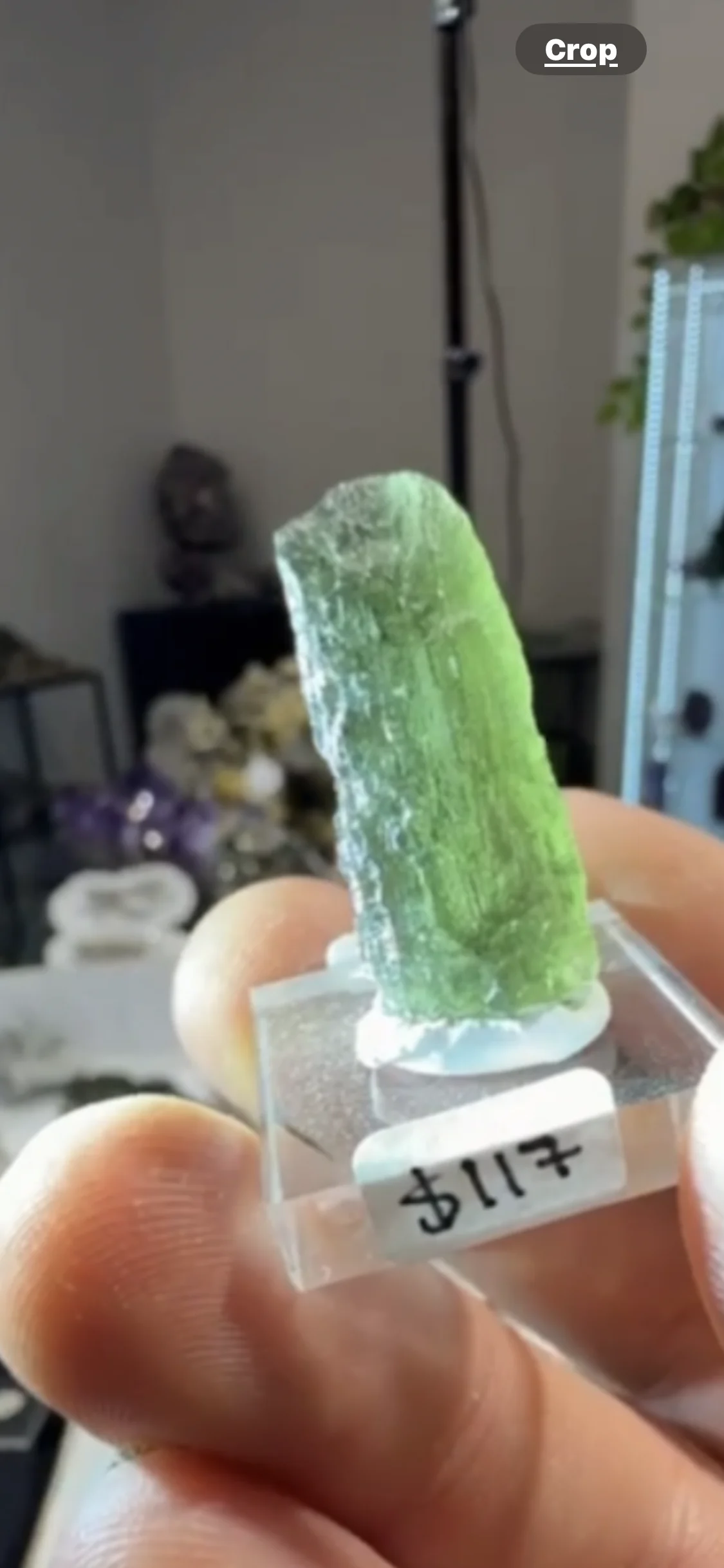 XXX Porn Photo of Nude SwordStallionVibes 9