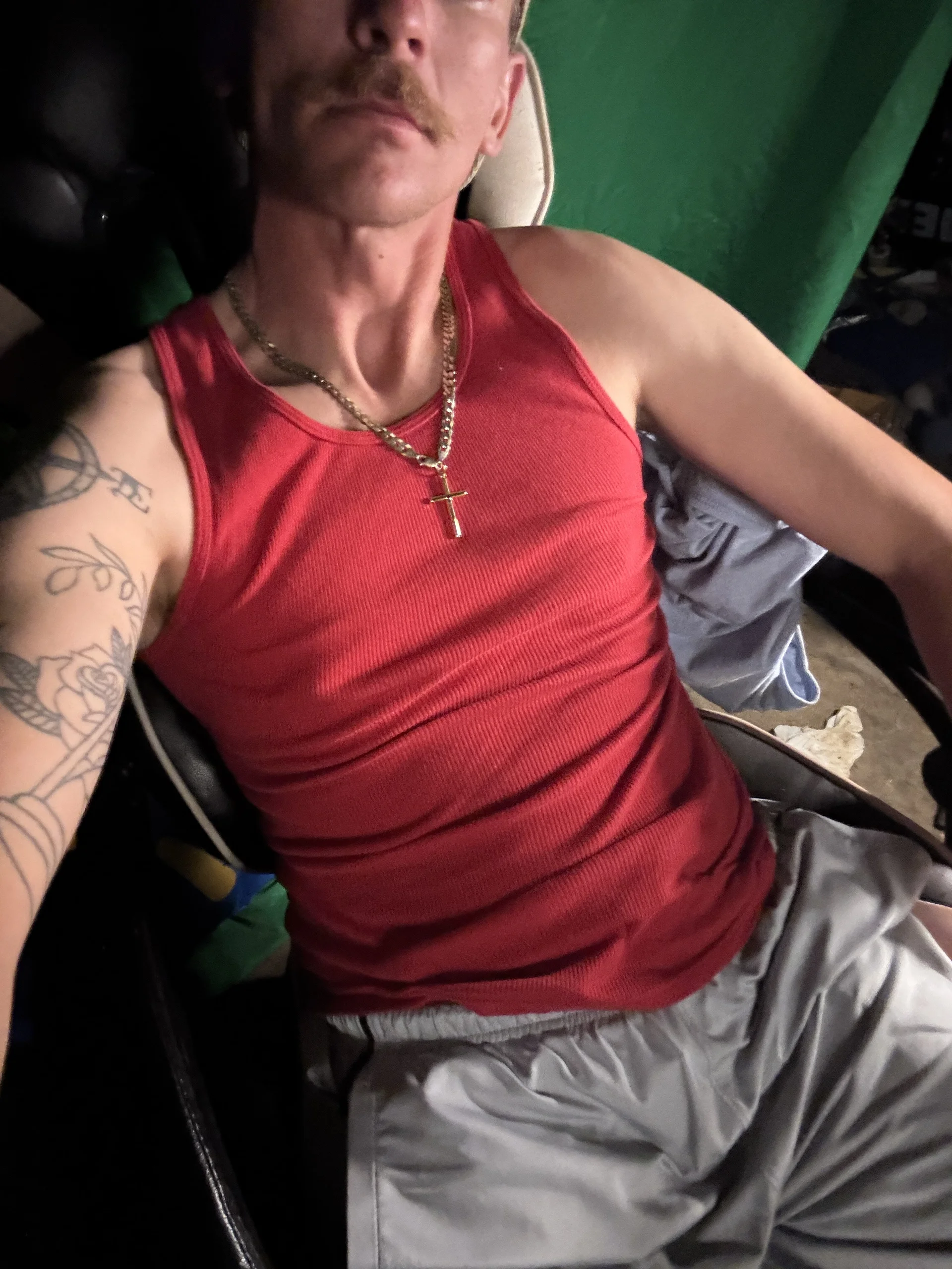 AverageMaleJay